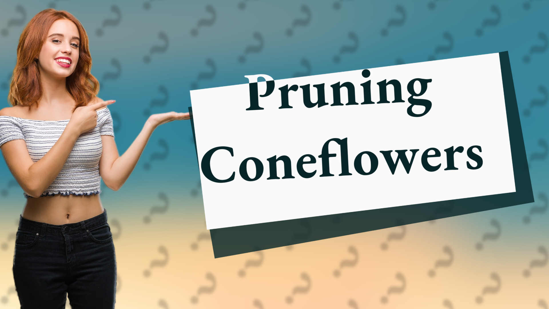 Pruning Coneflowers