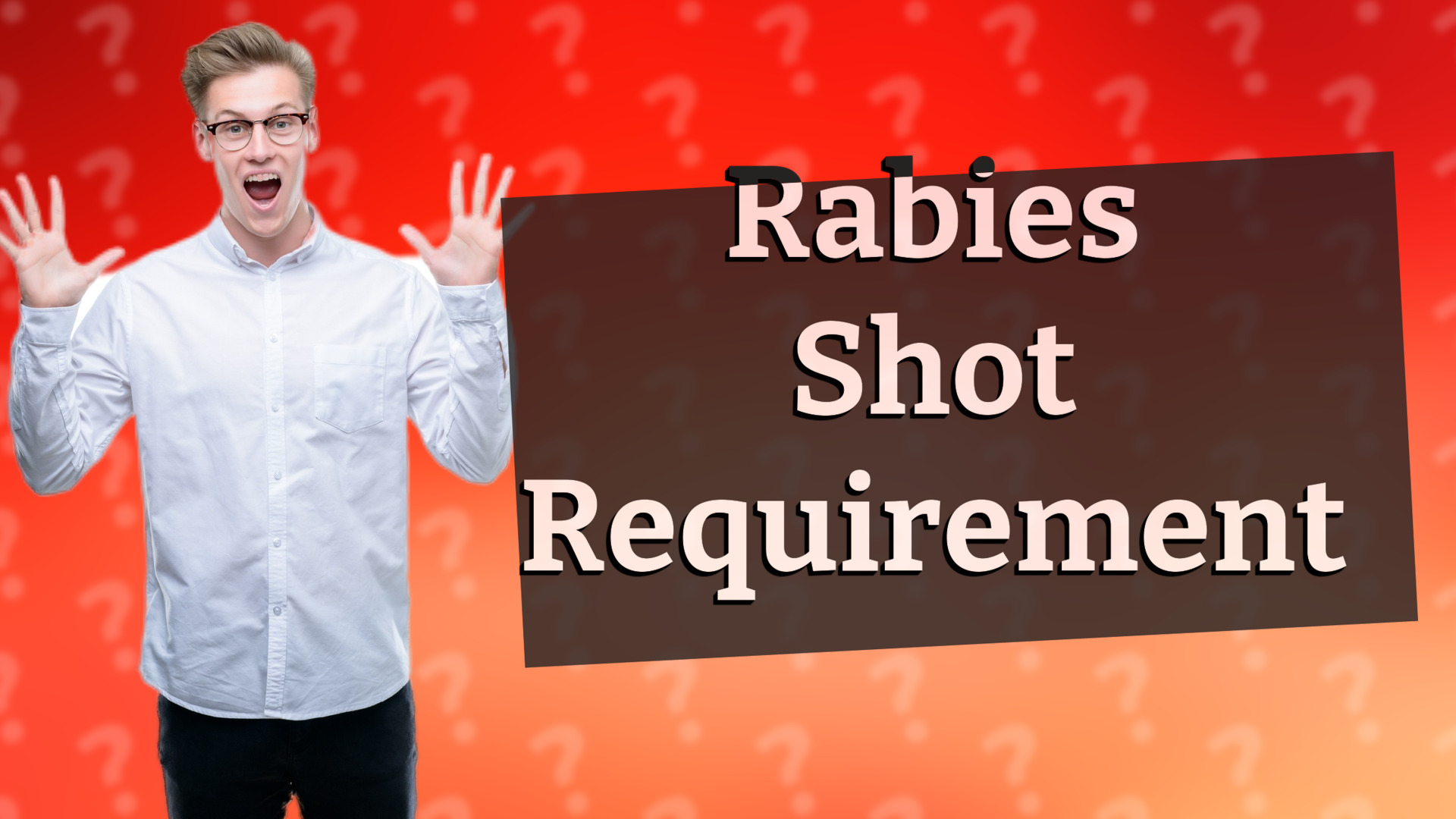 Rabies Shot Requirement