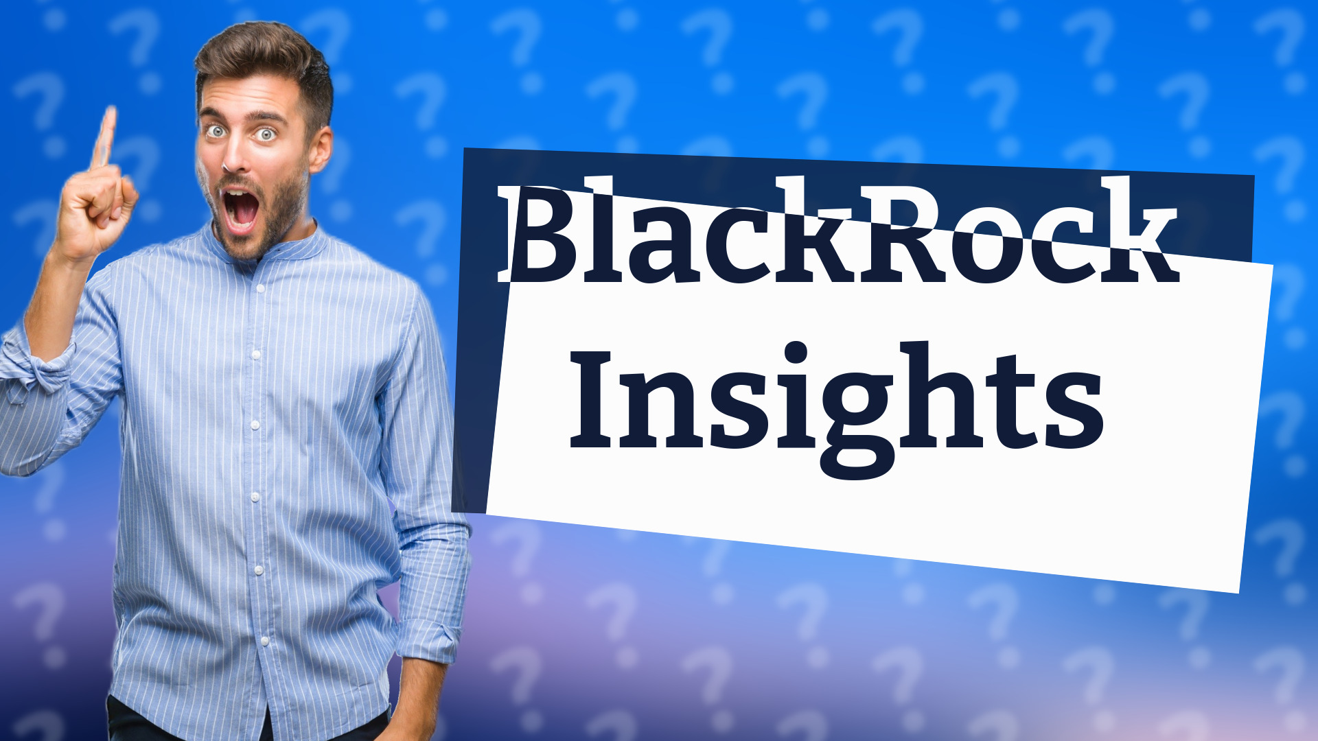 BlackRock Insights