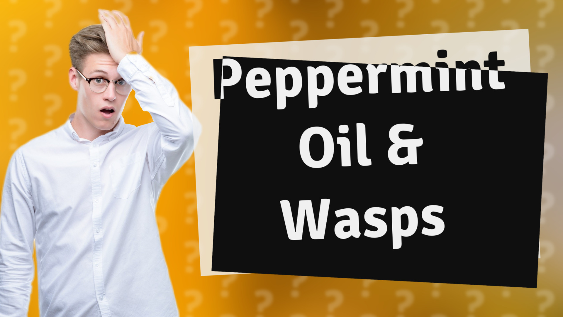 Peppermint Oil & Wasps