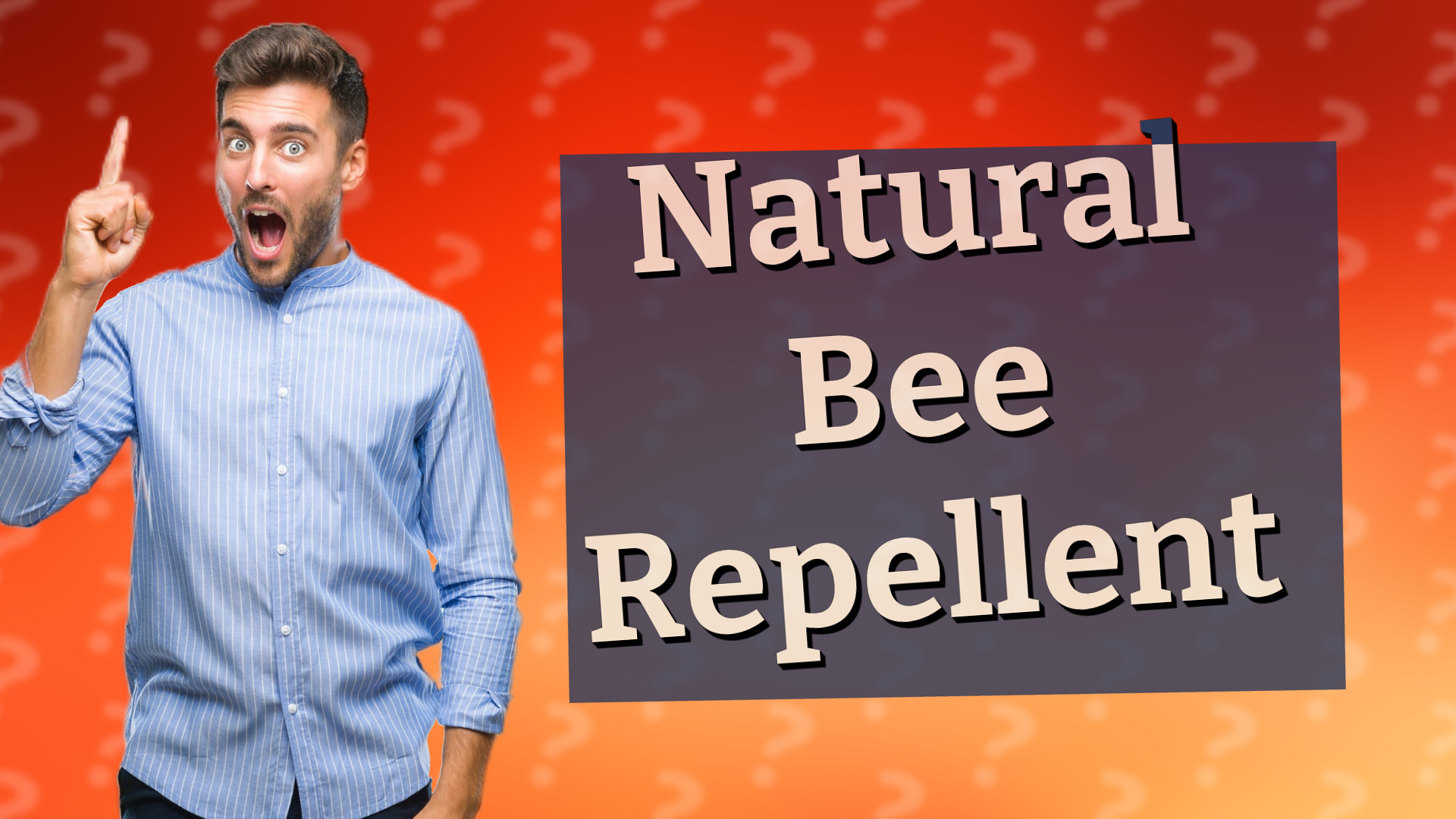 Natural Bee Repellent