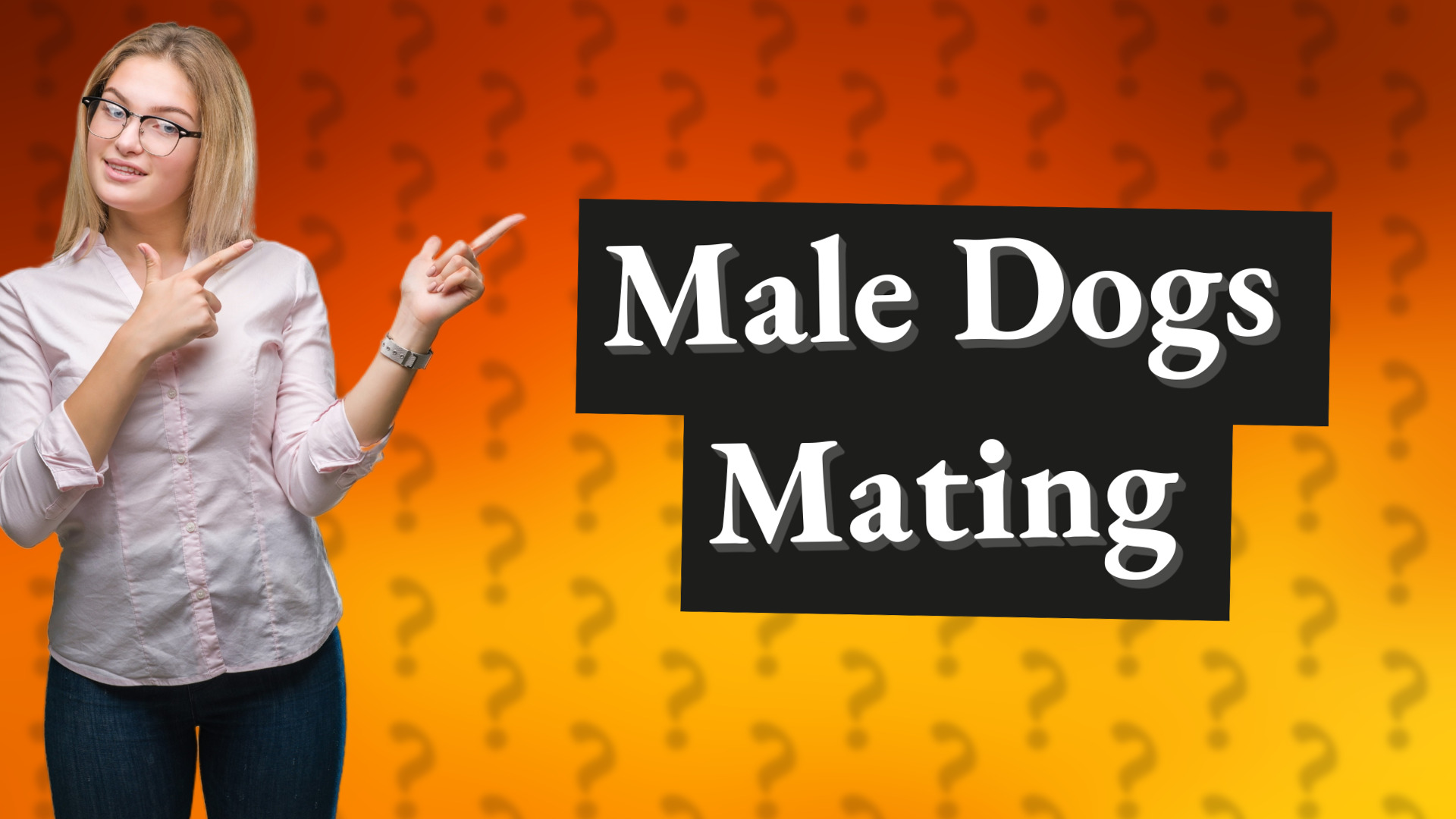 Male Dogs Mating