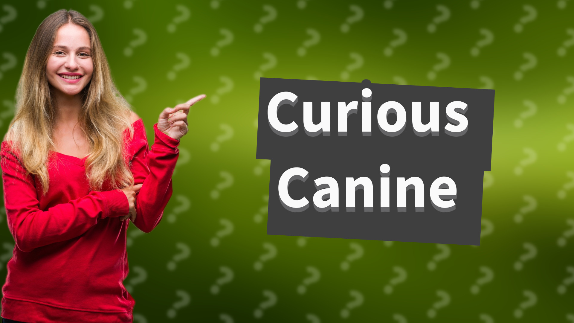 Curious Canine