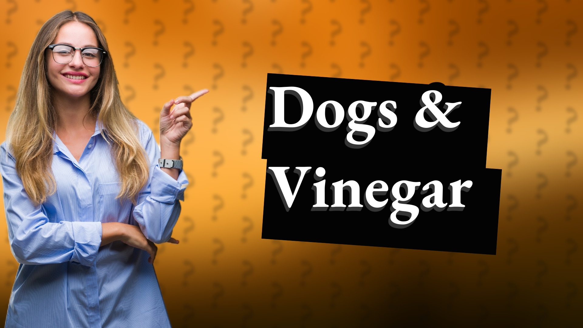 Dogs & Vinegar