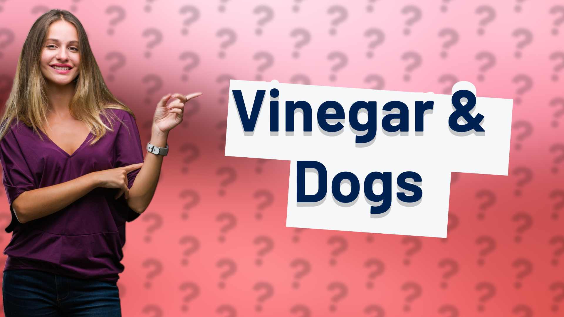 Vinegar & Dogs