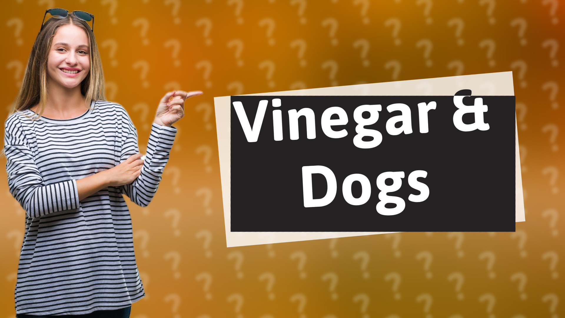 Vinegar & Dogs