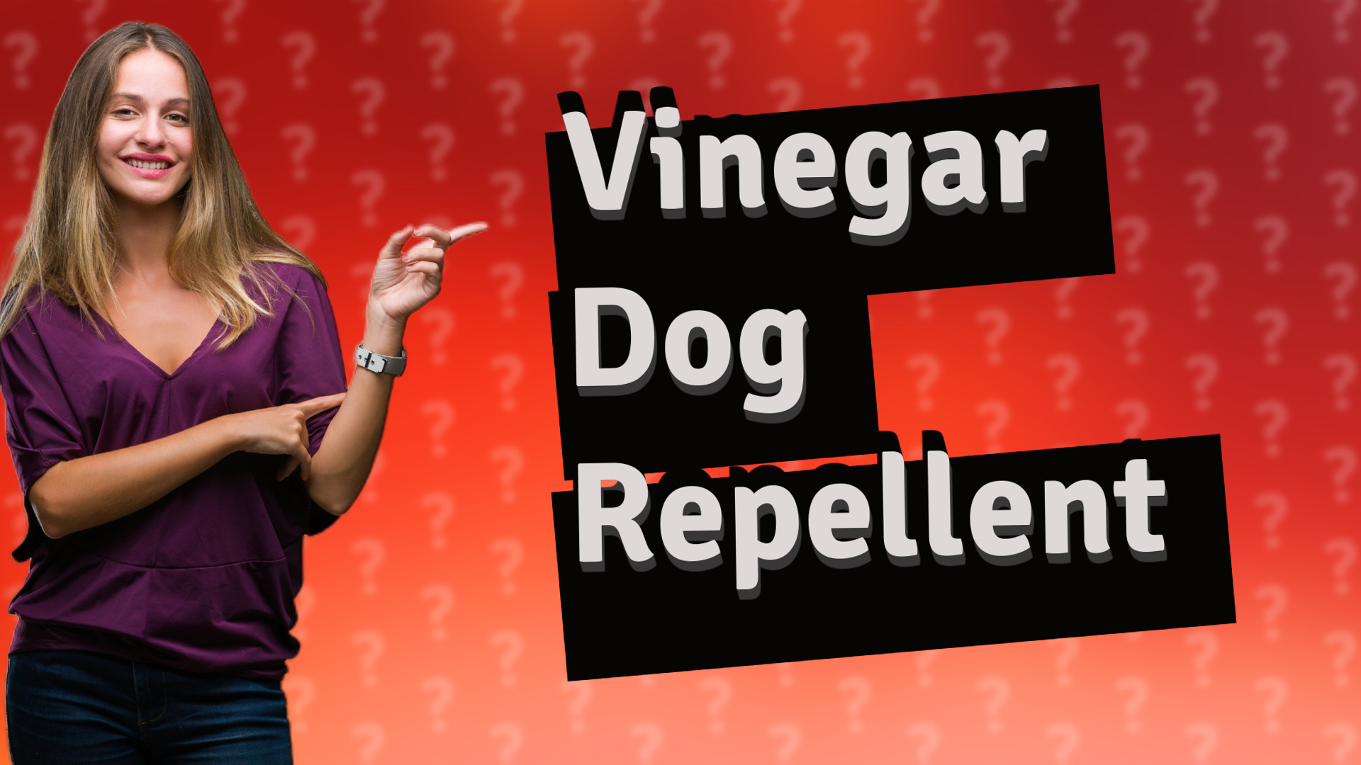Vinegar Dog Repellent