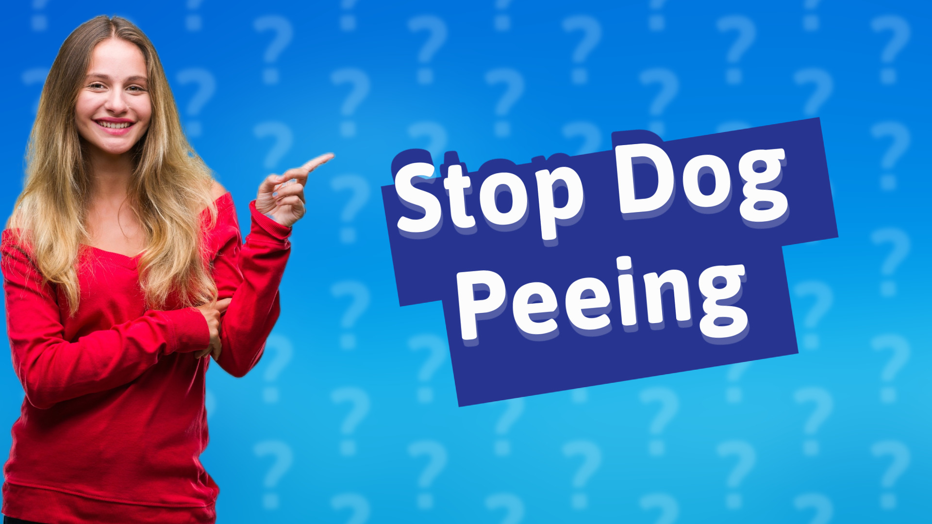 Stop Dog Peeing