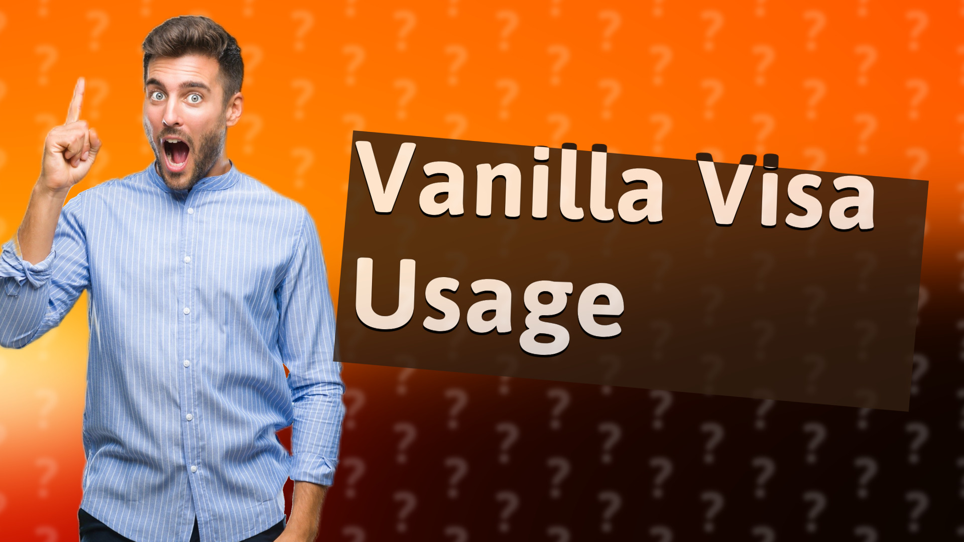 Vanilla Visa Usage