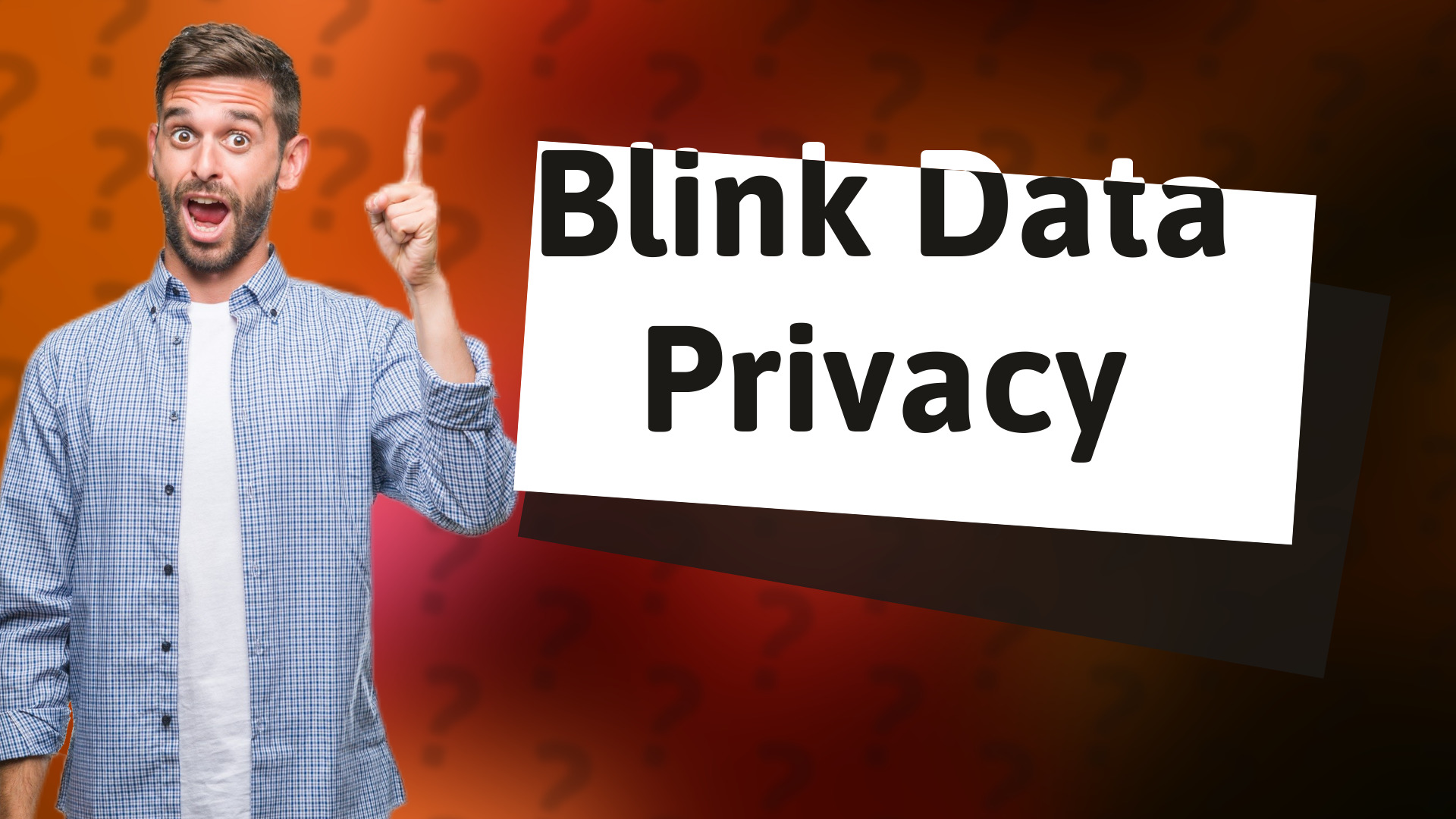 Blink Data Privacy