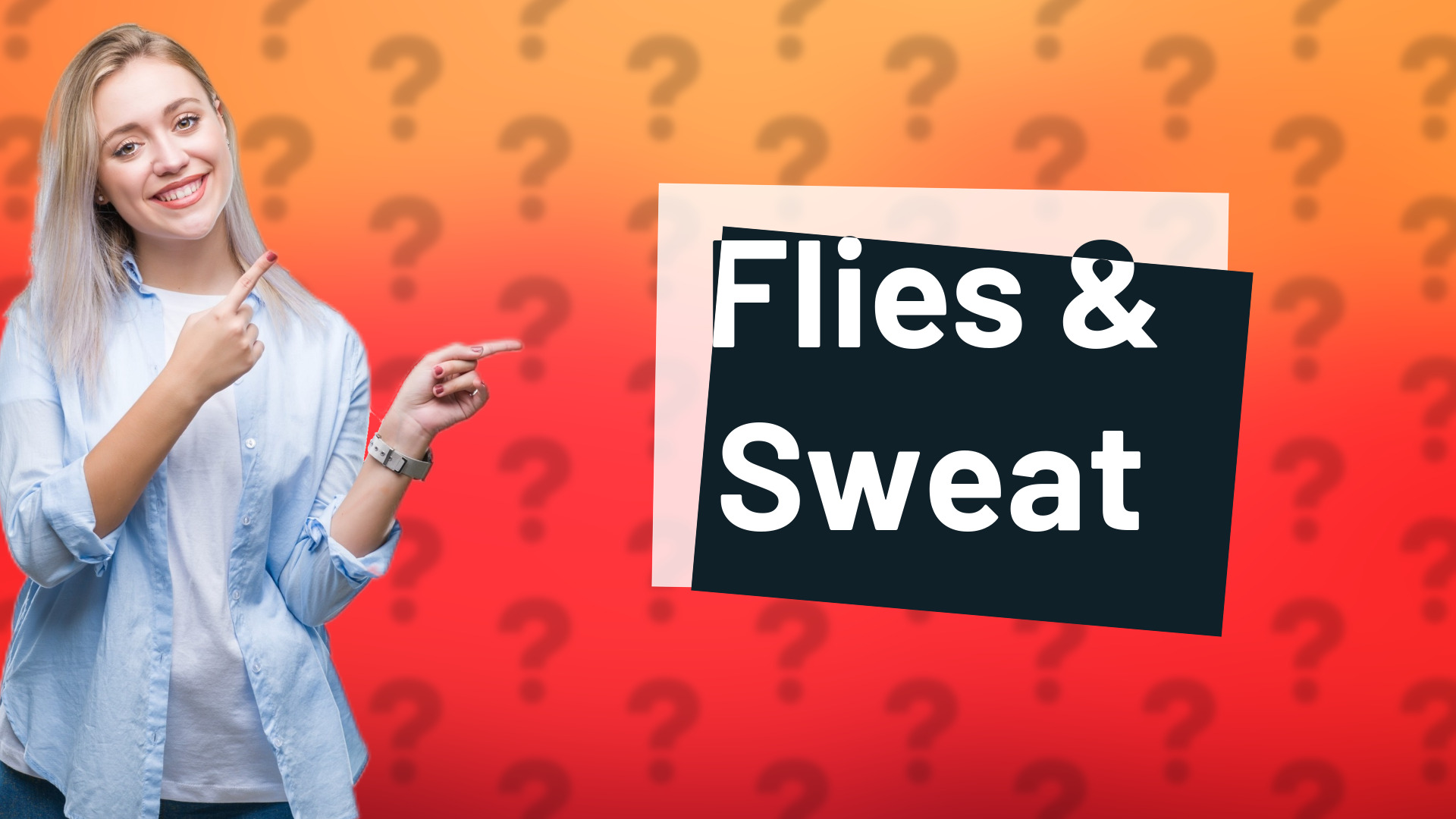 Flies & Sweat