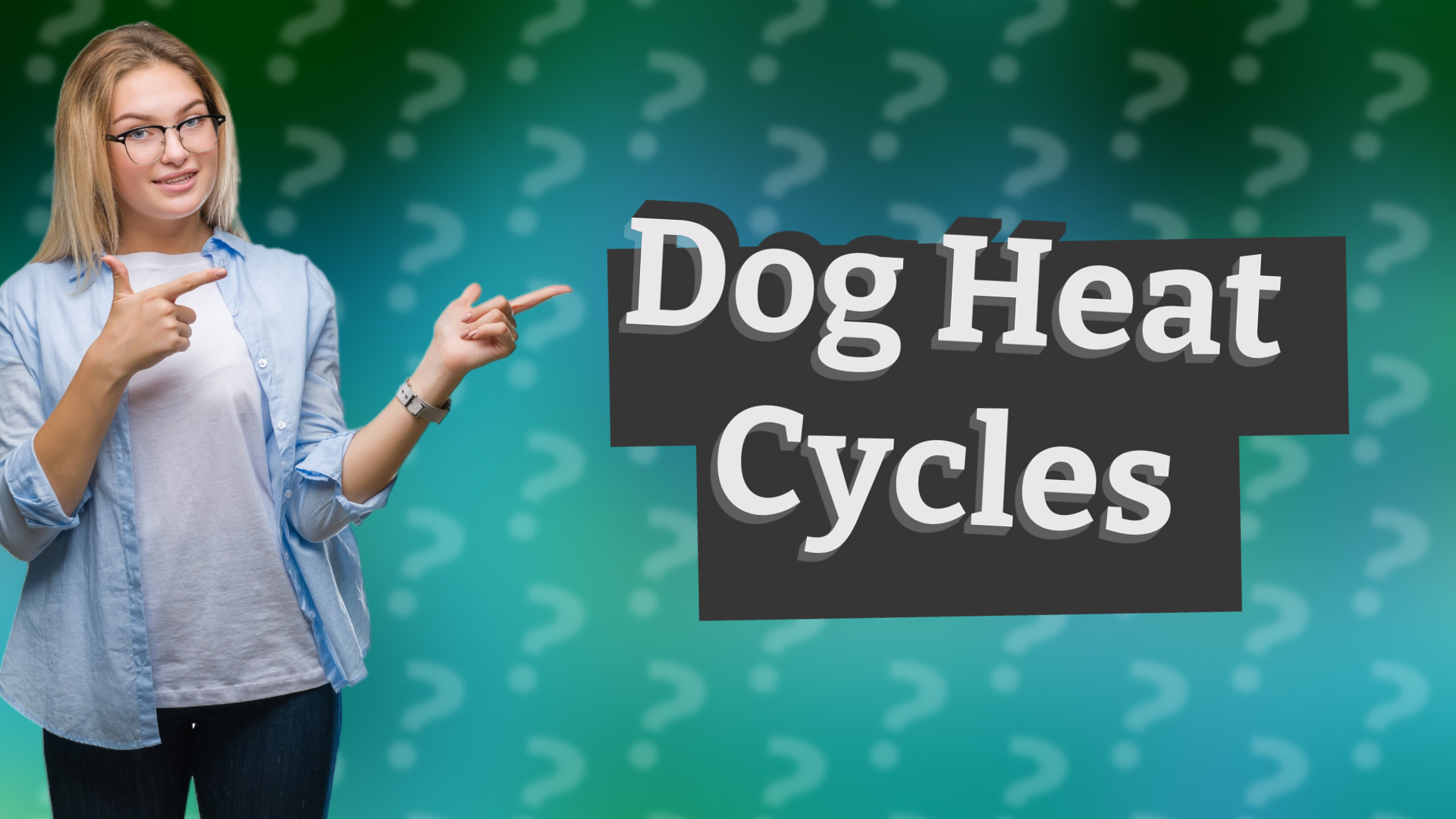 Dog Heat Cycles
