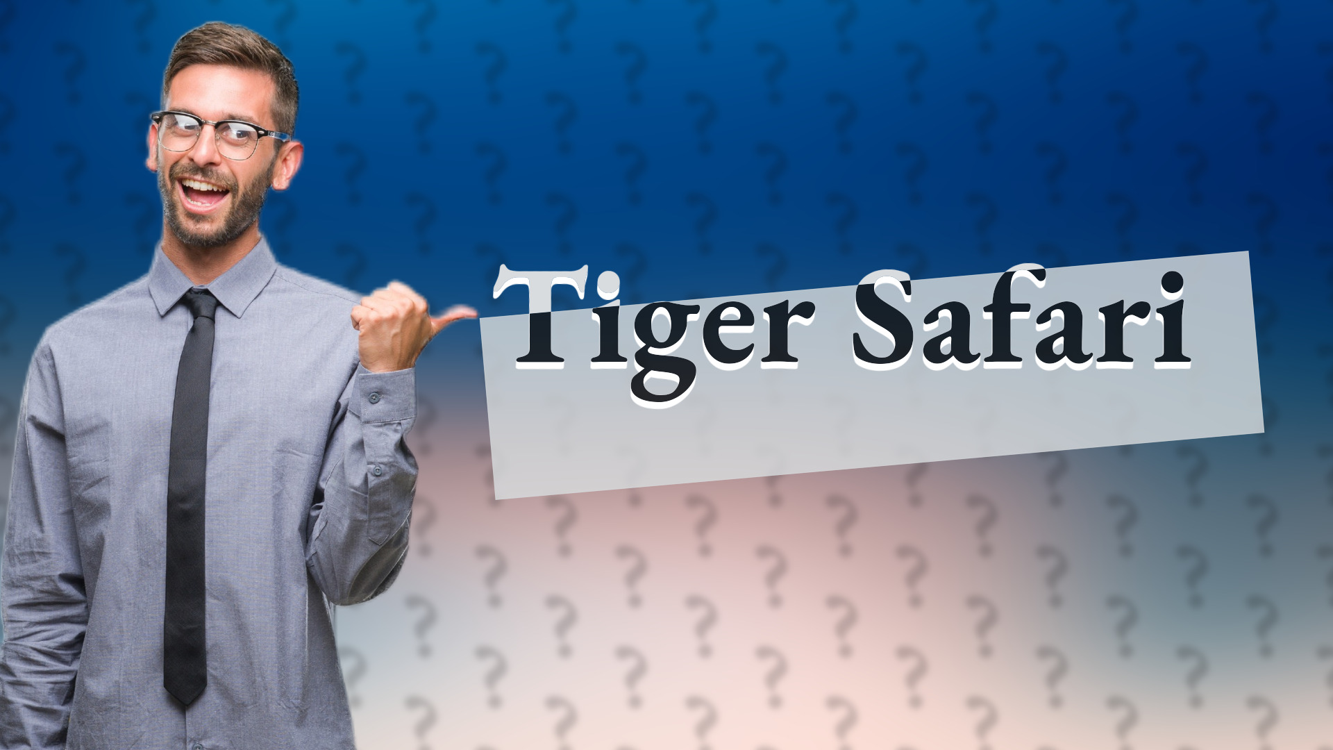 Tiger Safari