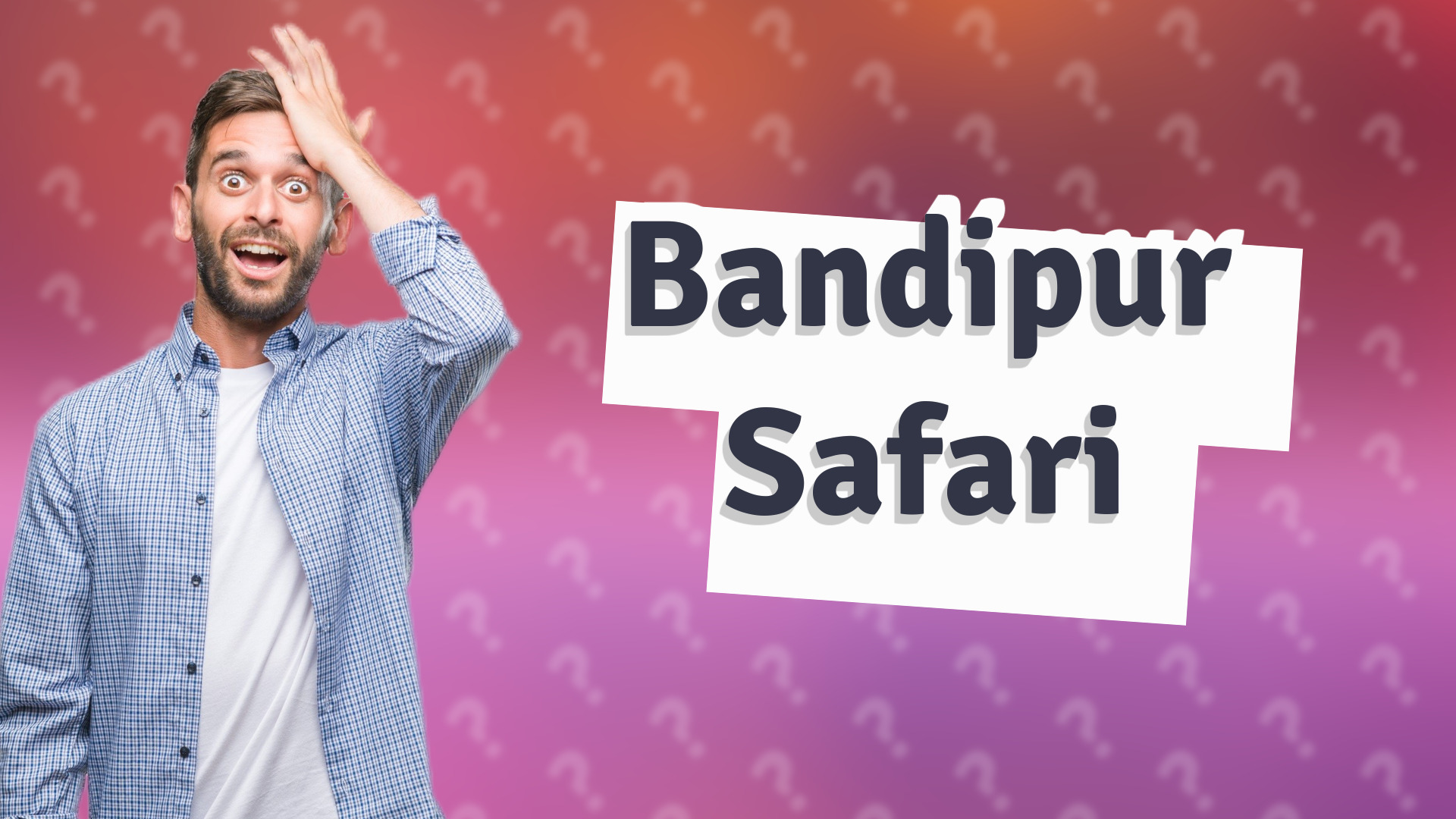 Bandipur Safari