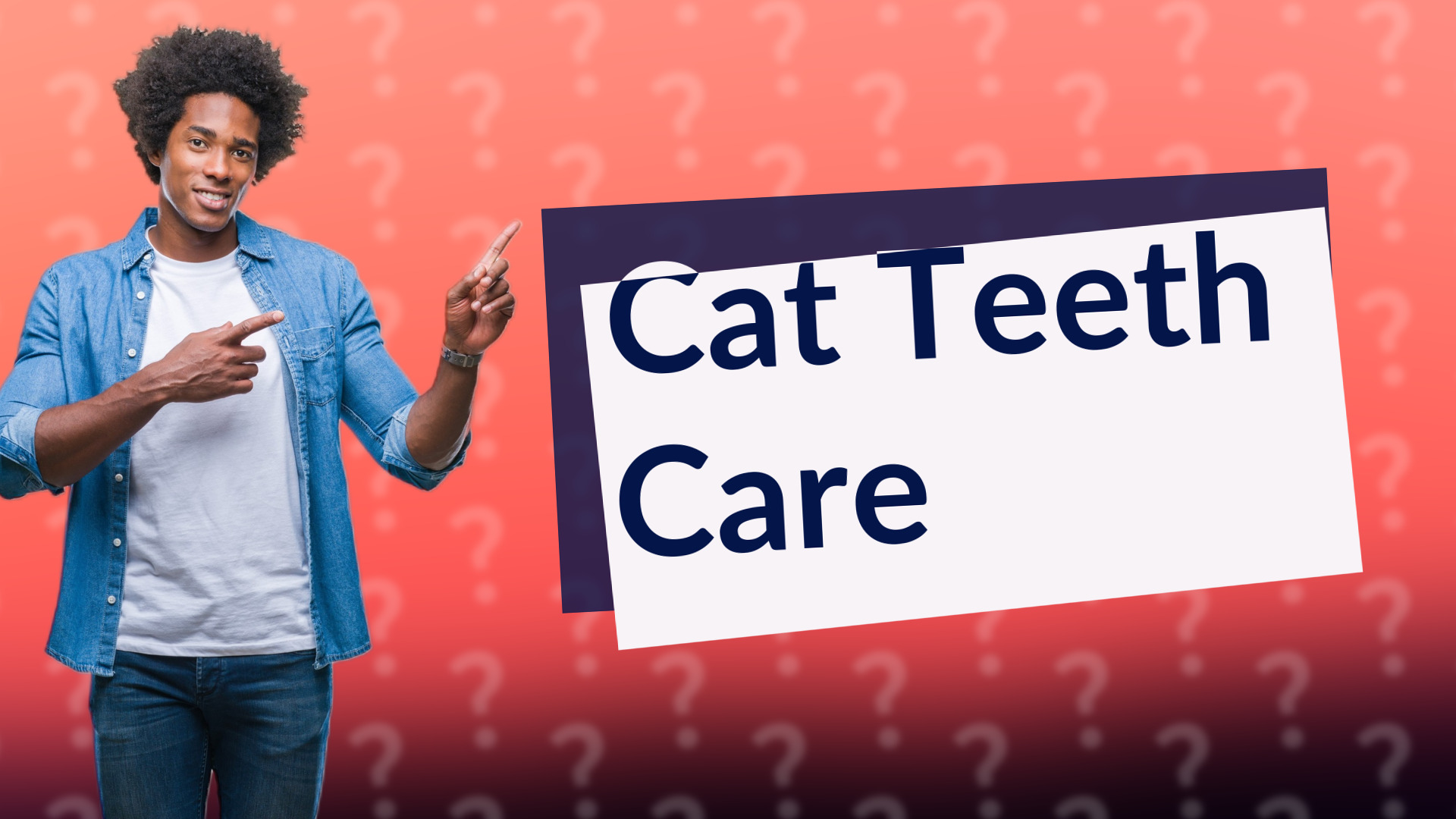 Cat Teeth Care