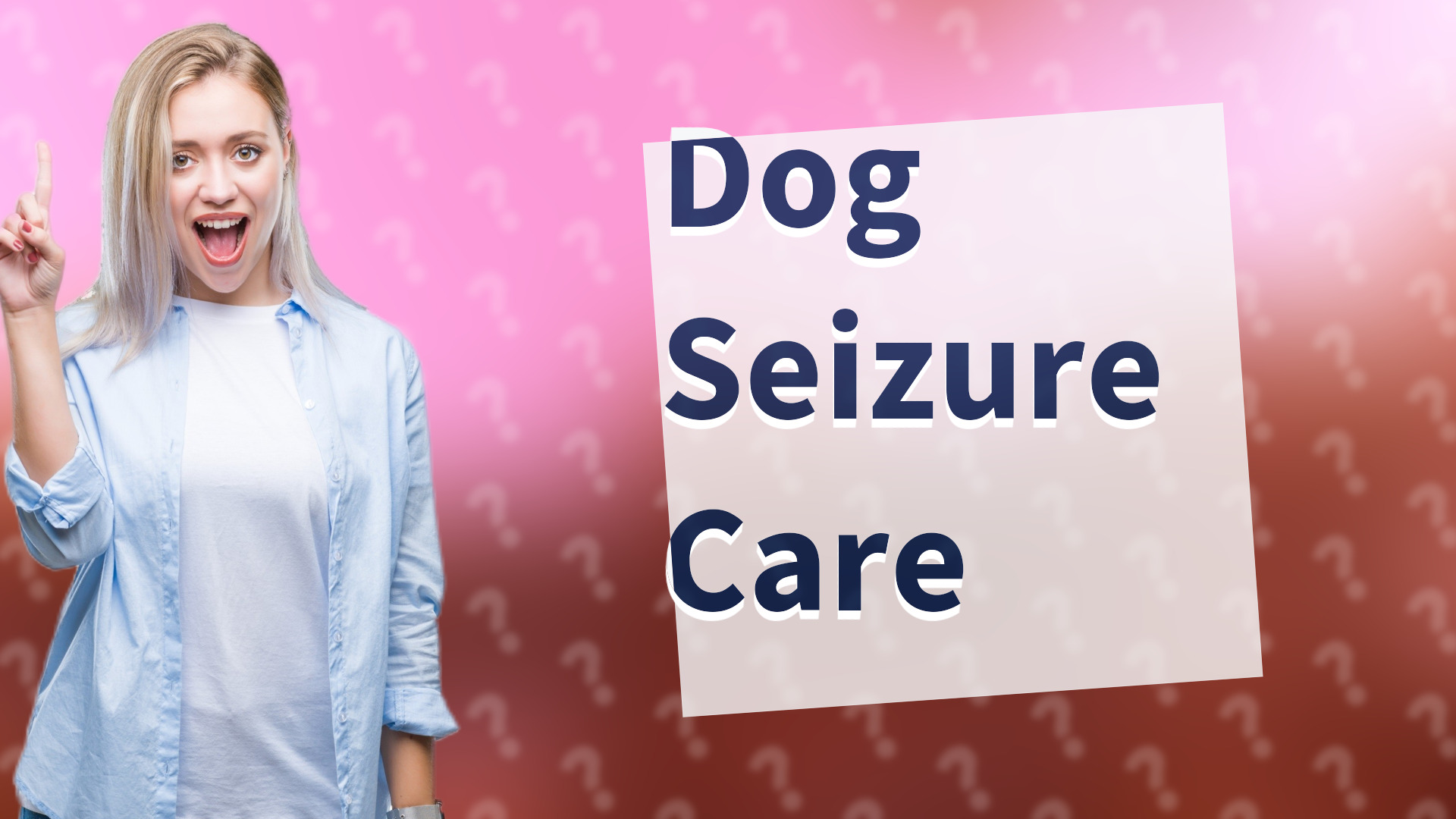Dog Seizure Care