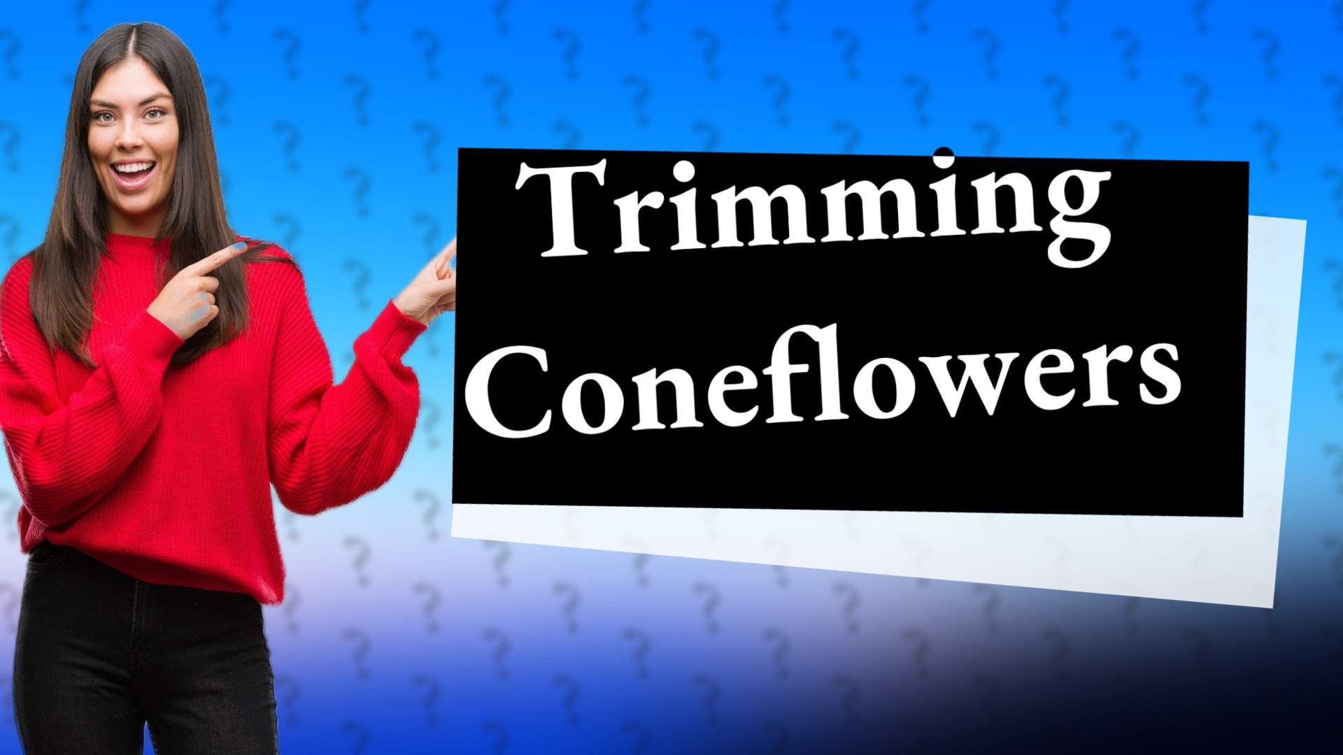Trimming Coneflowers