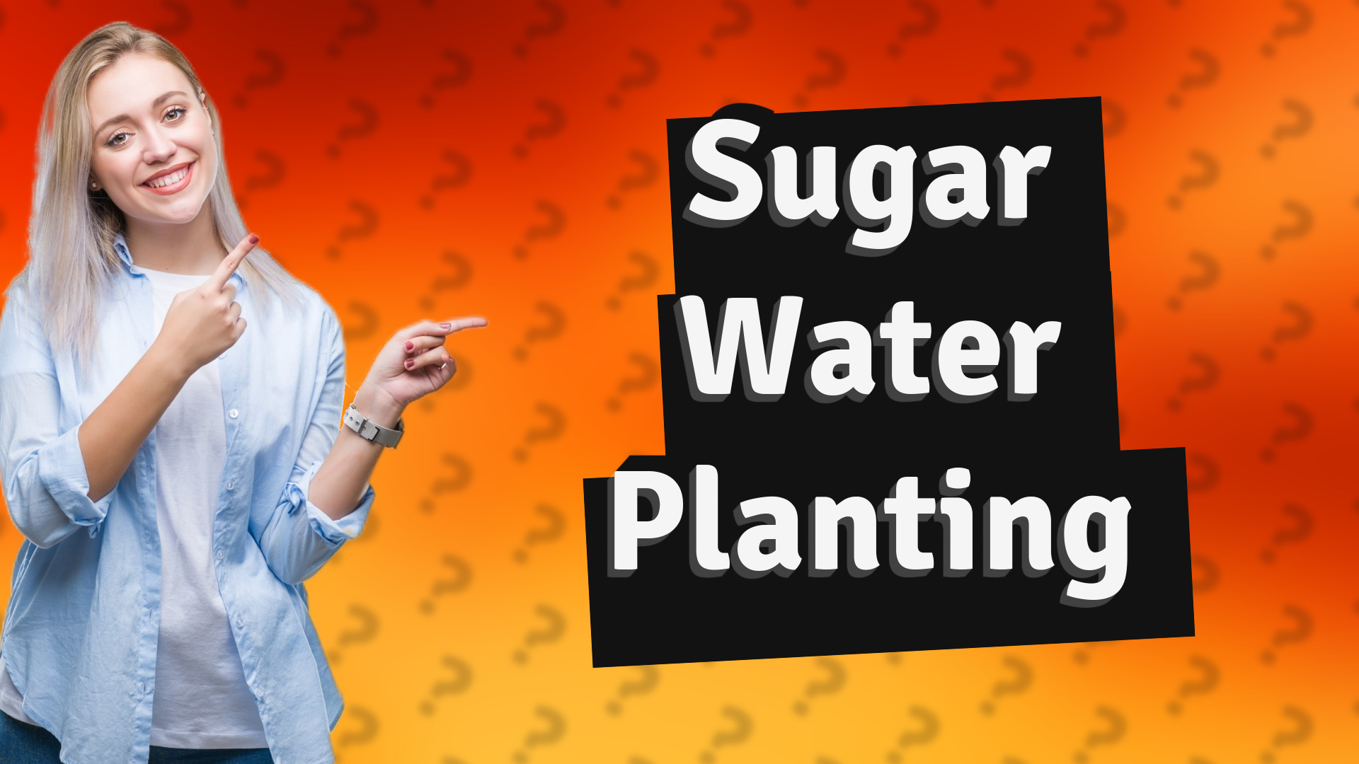 Sugar Water Planting
