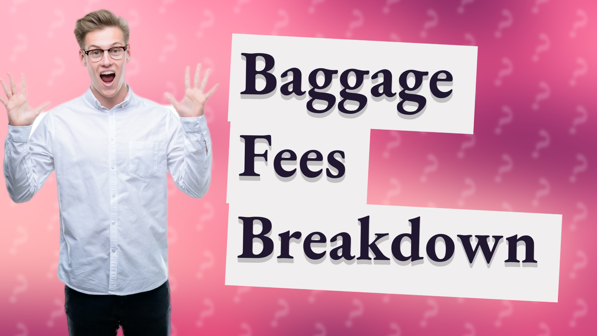 Baggage Fees Breakdown