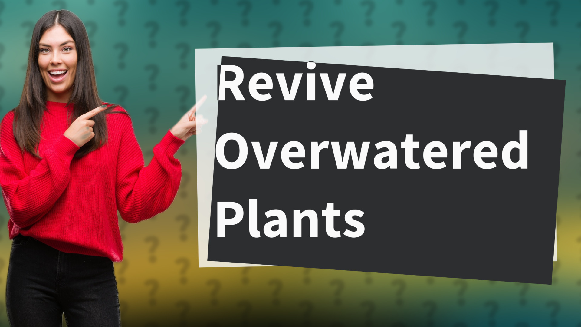 Revive Overwatered Plants