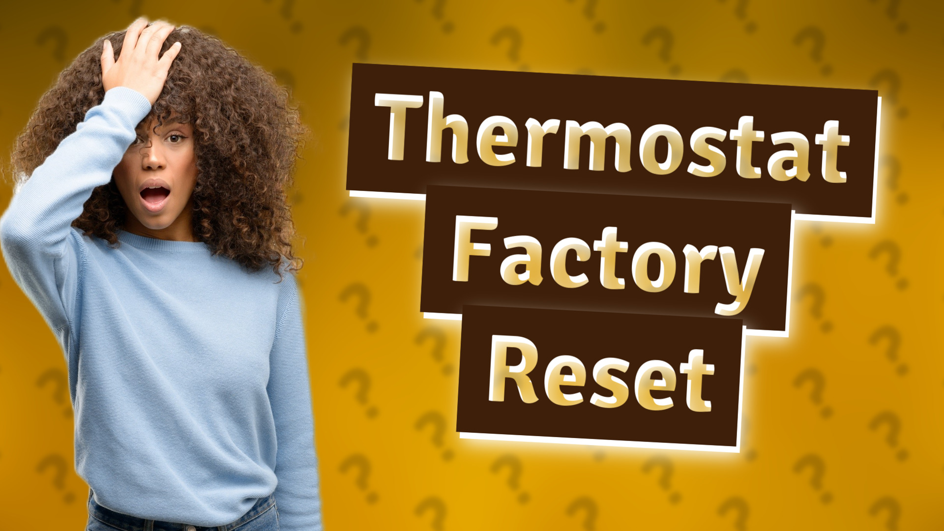 Thermostat Factory Reset