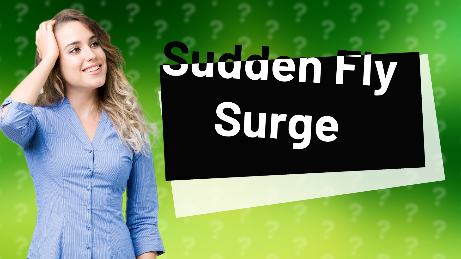 Sudden Fly Surge