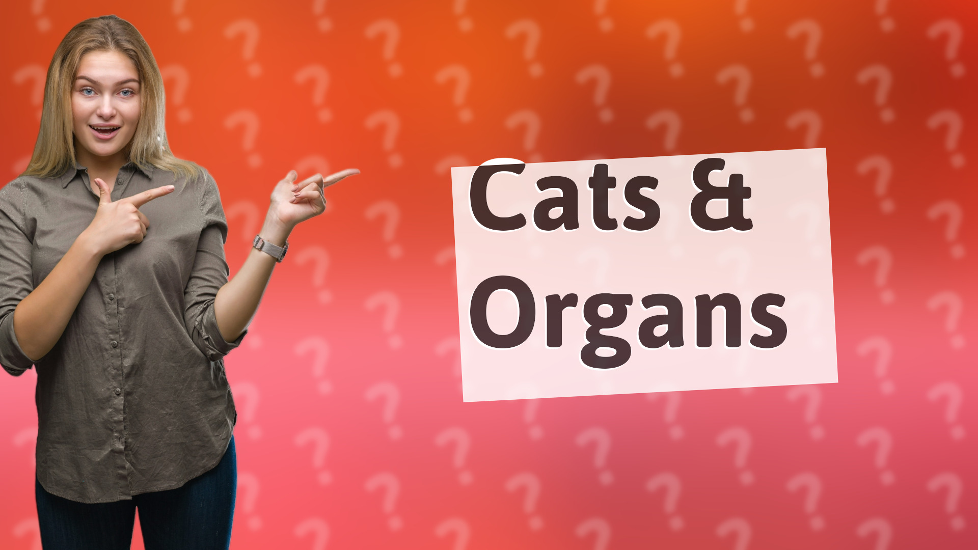 Cats & Organs