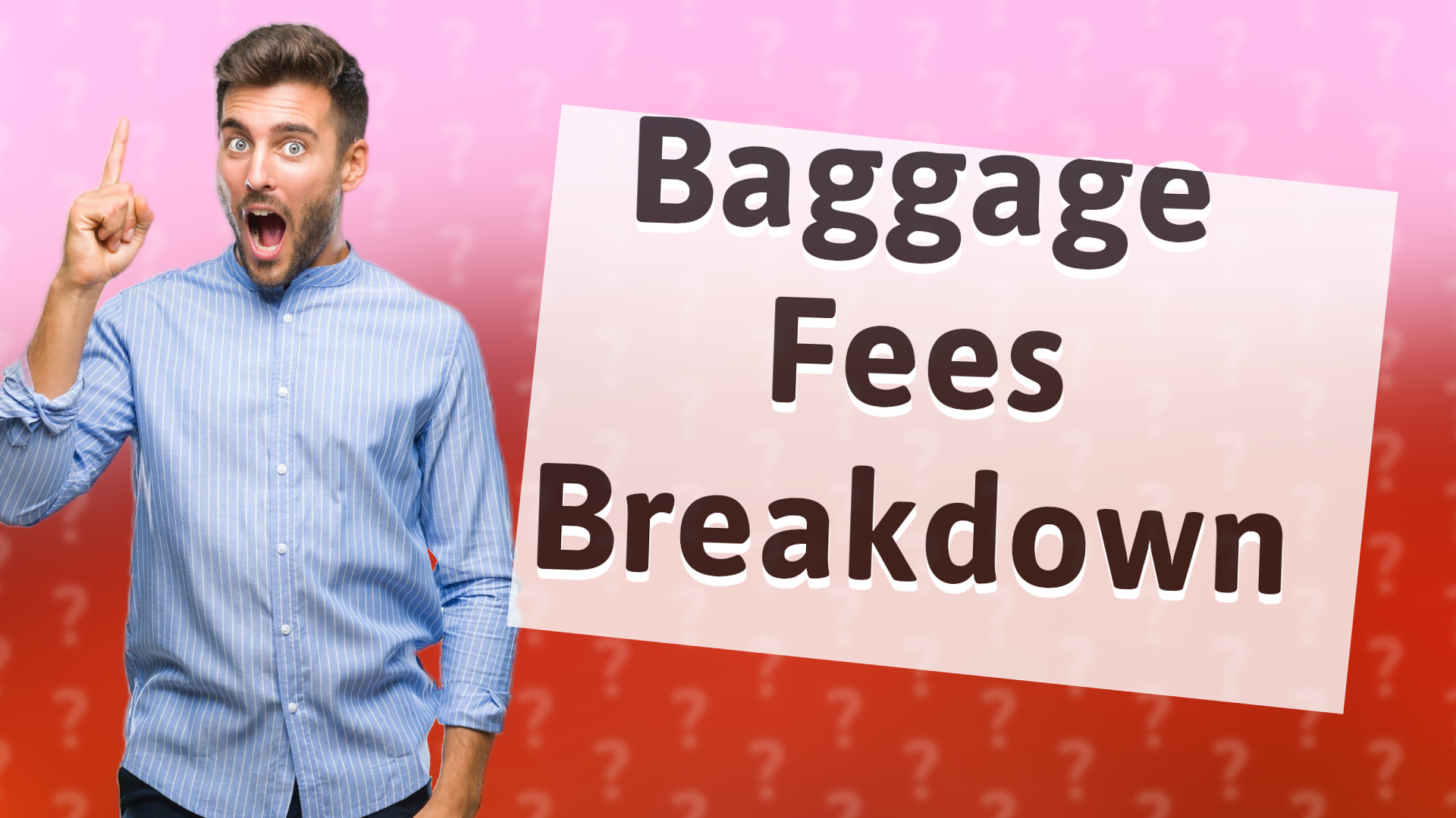 Baggage Fees Breakdown