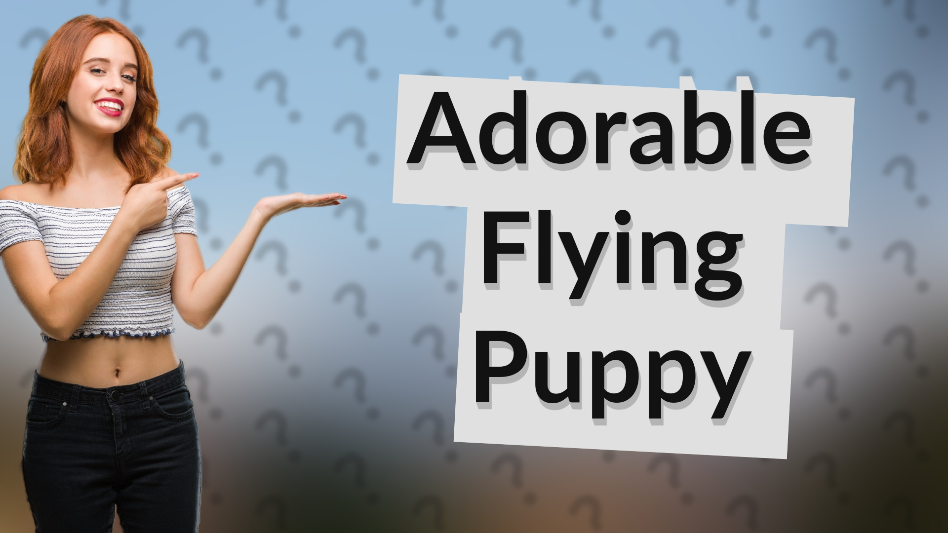 Adorable Flying Puppy