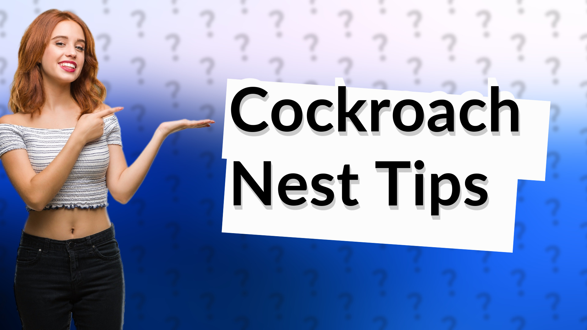 Cockroach Nest Tips