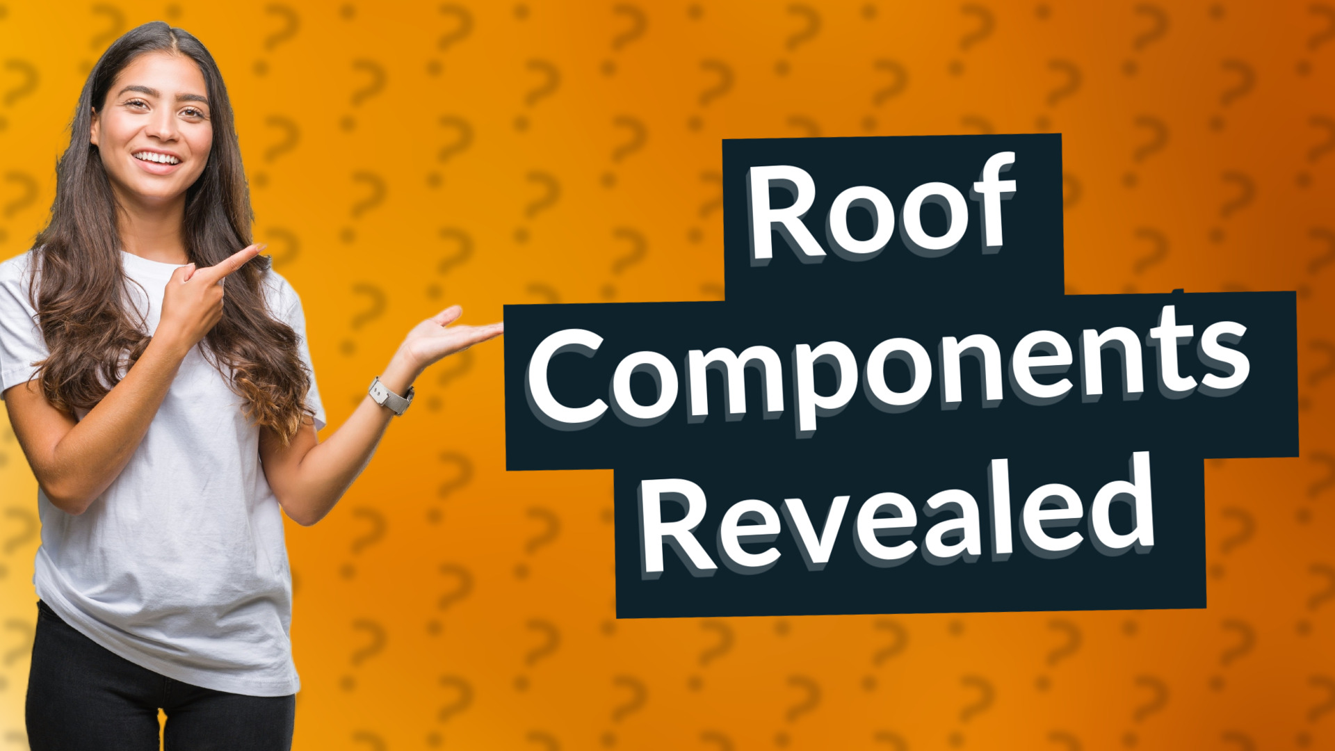 Roof Components Revealed