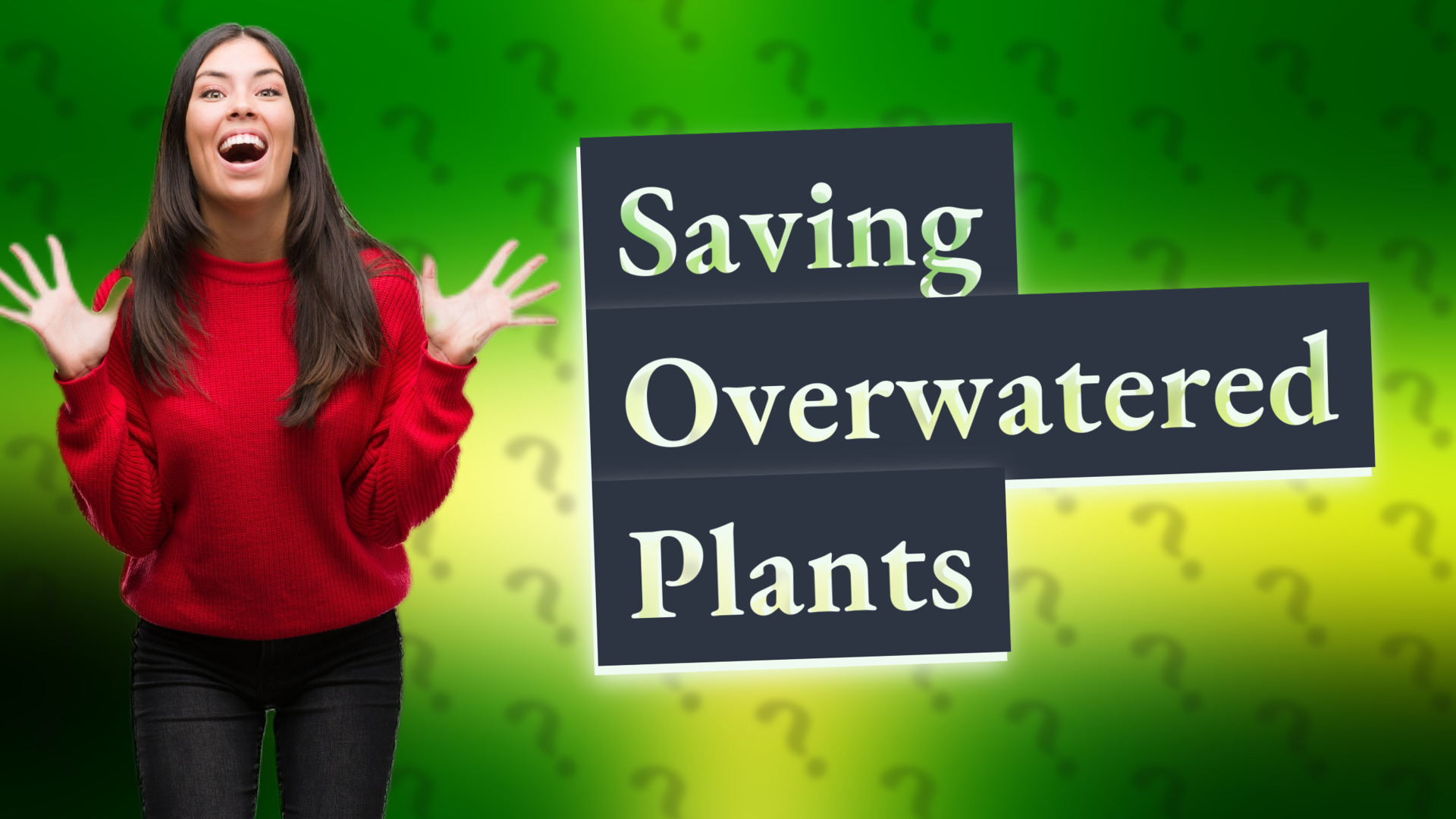 Saving Overwatered Plants