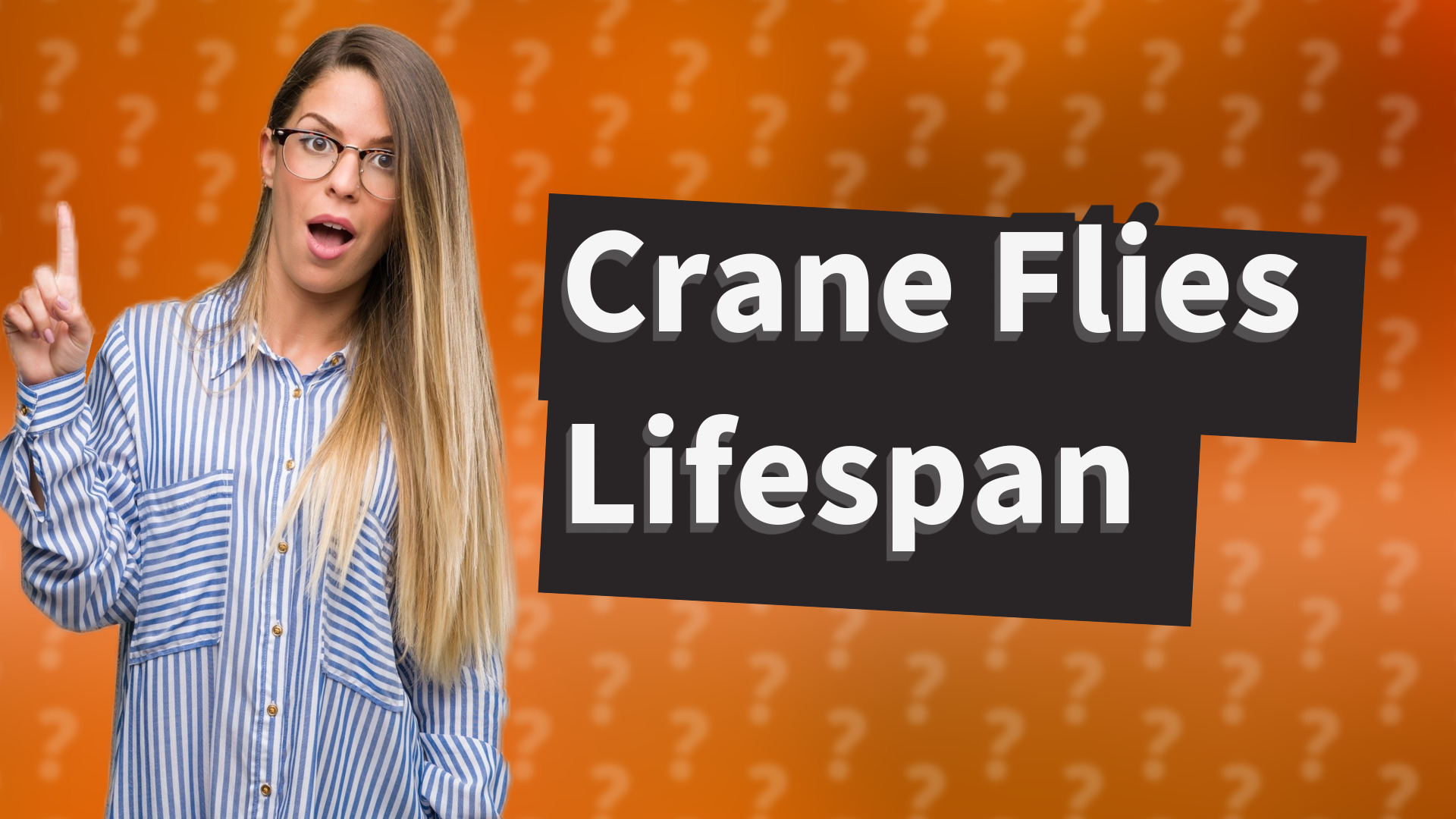Crane Flies Lifespan