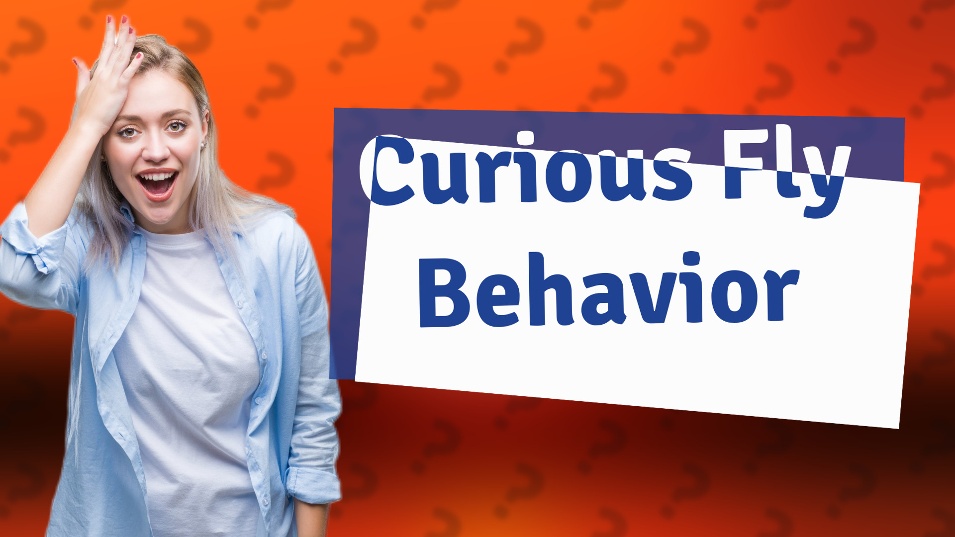 Curious Fly Behavior