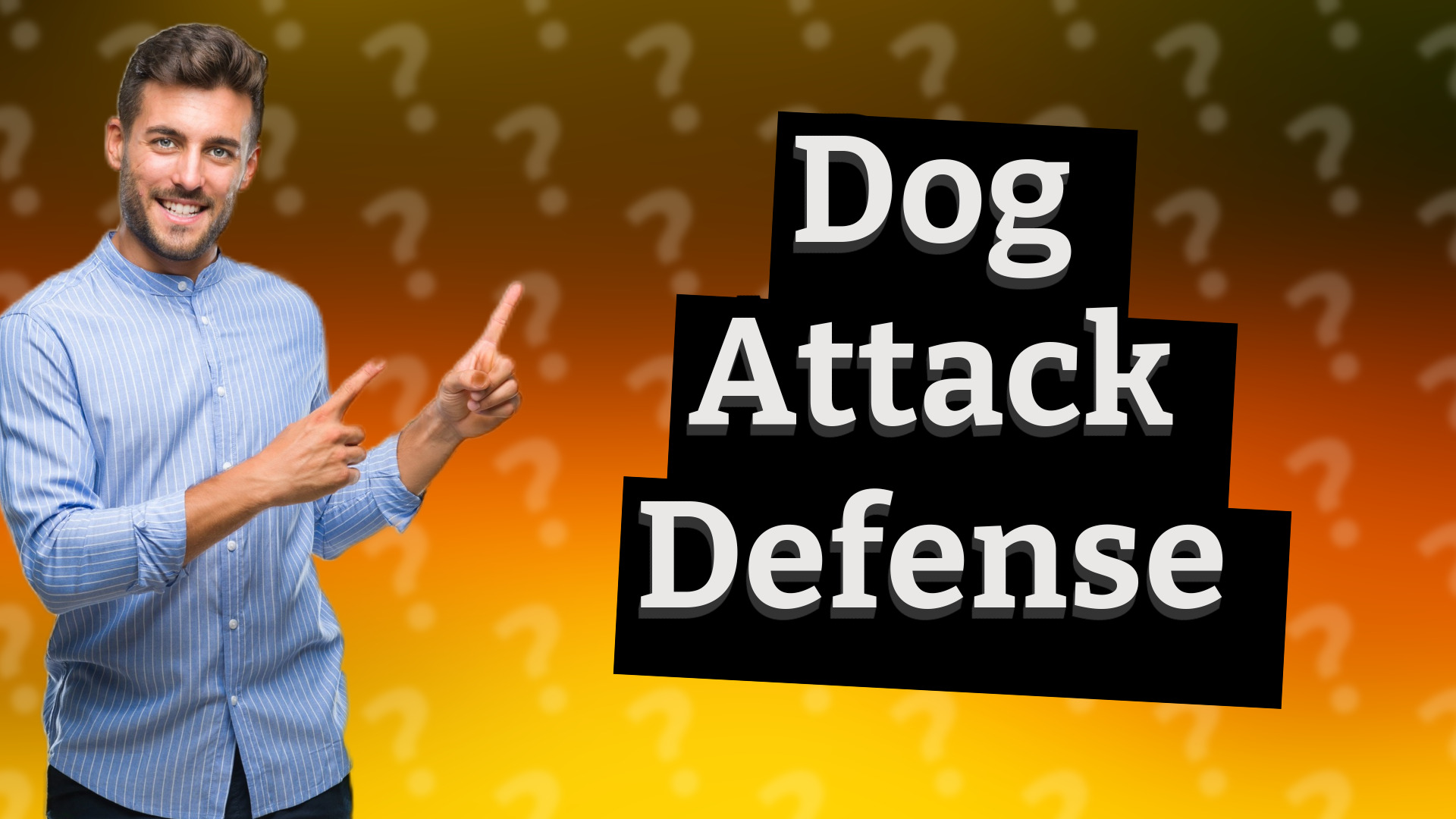 Dog Attack Defense