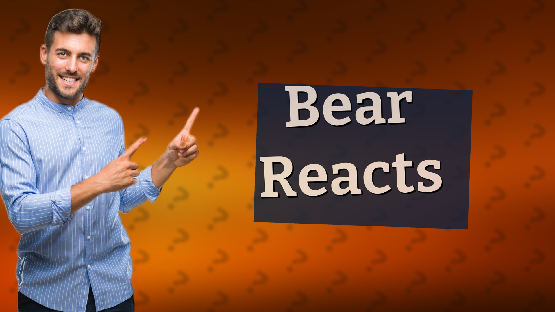 Bear Reacts
