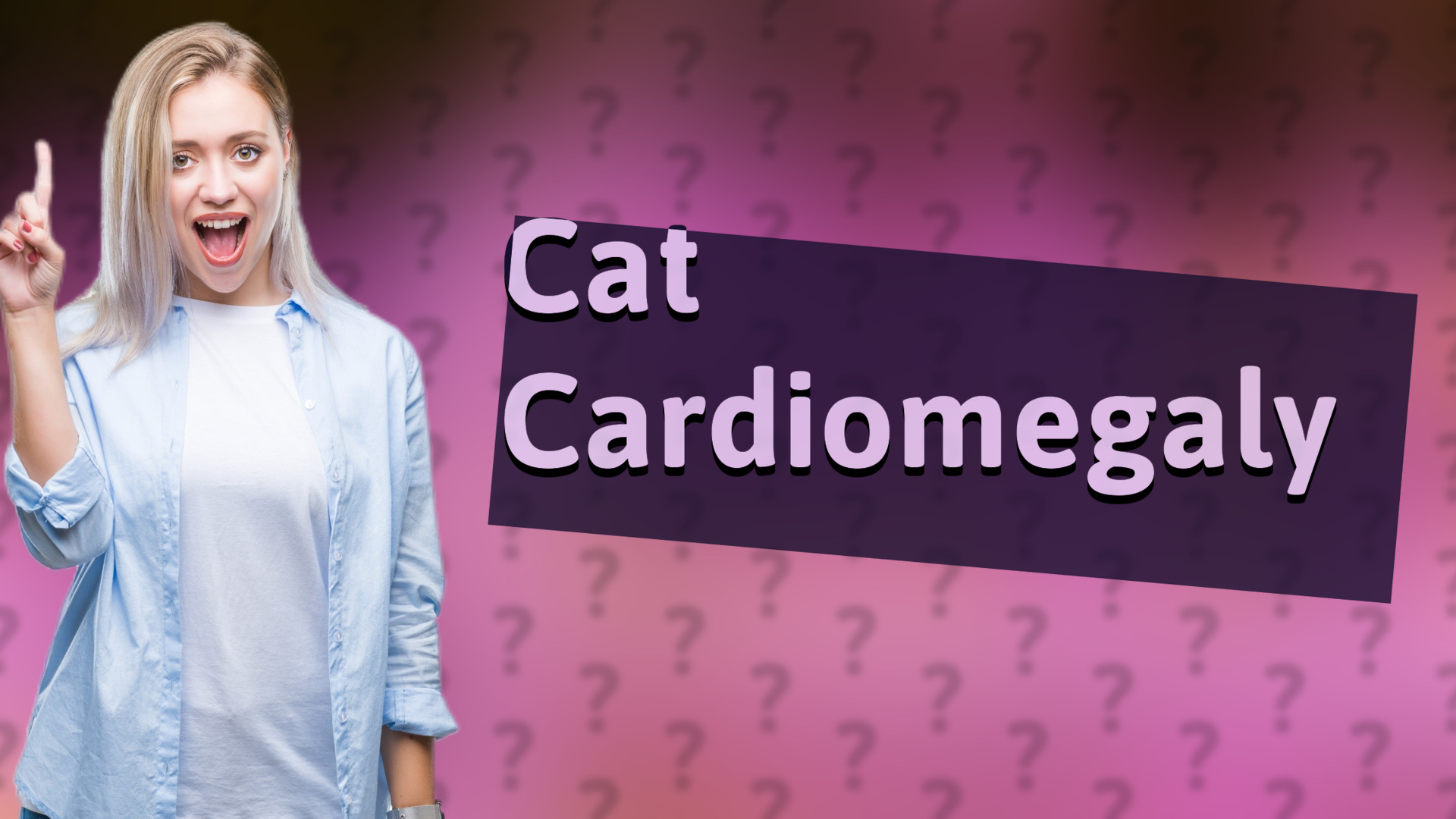 Cat Cardiomegaly