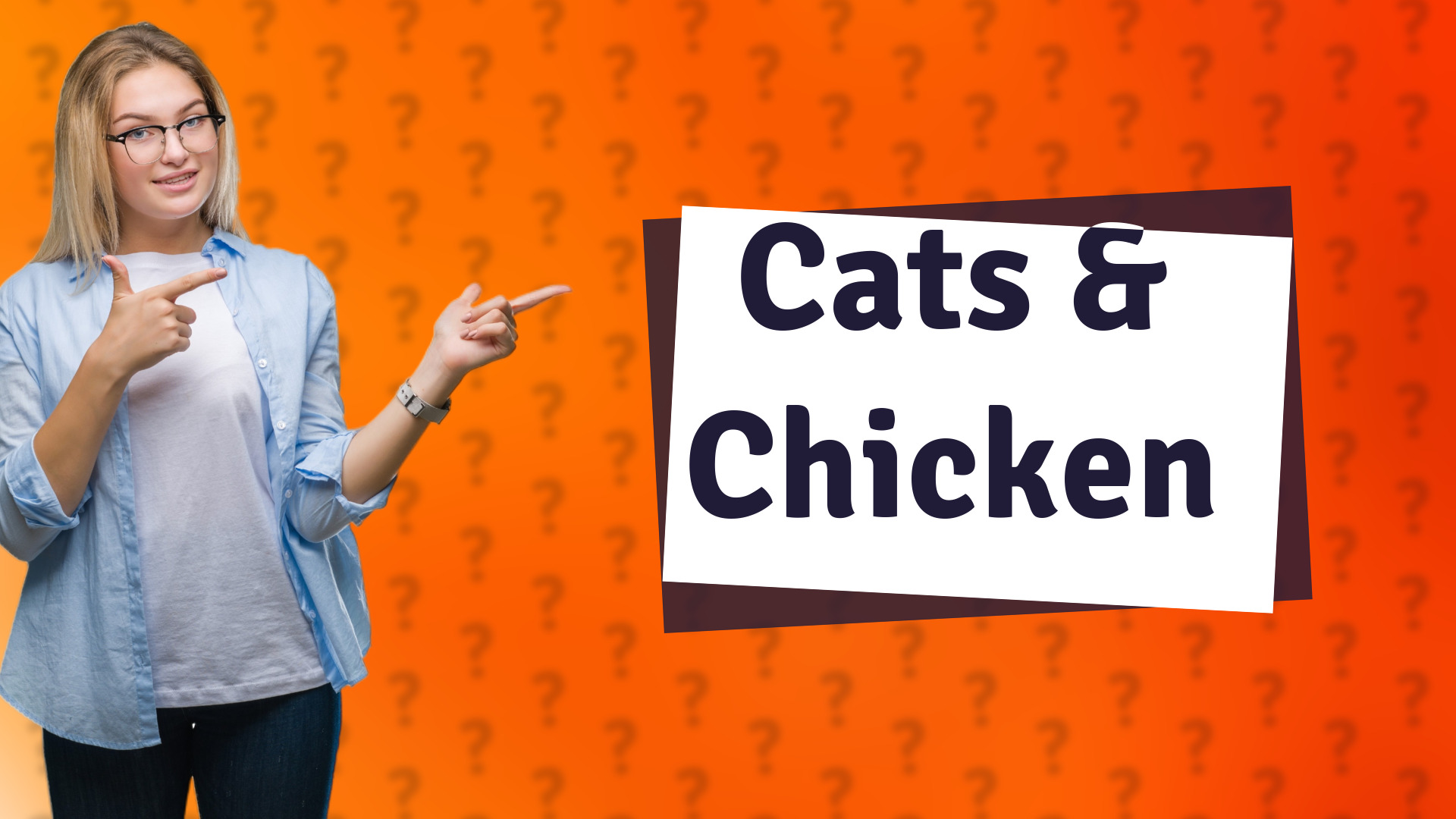Cats & Chicken