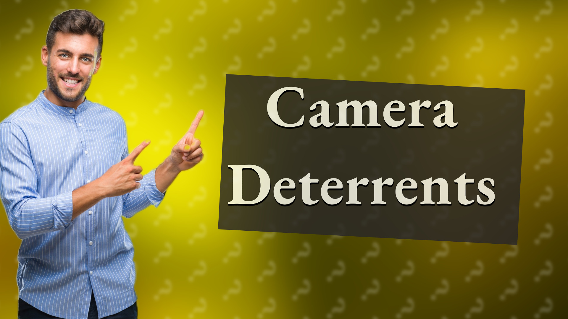 Camera Deterrents