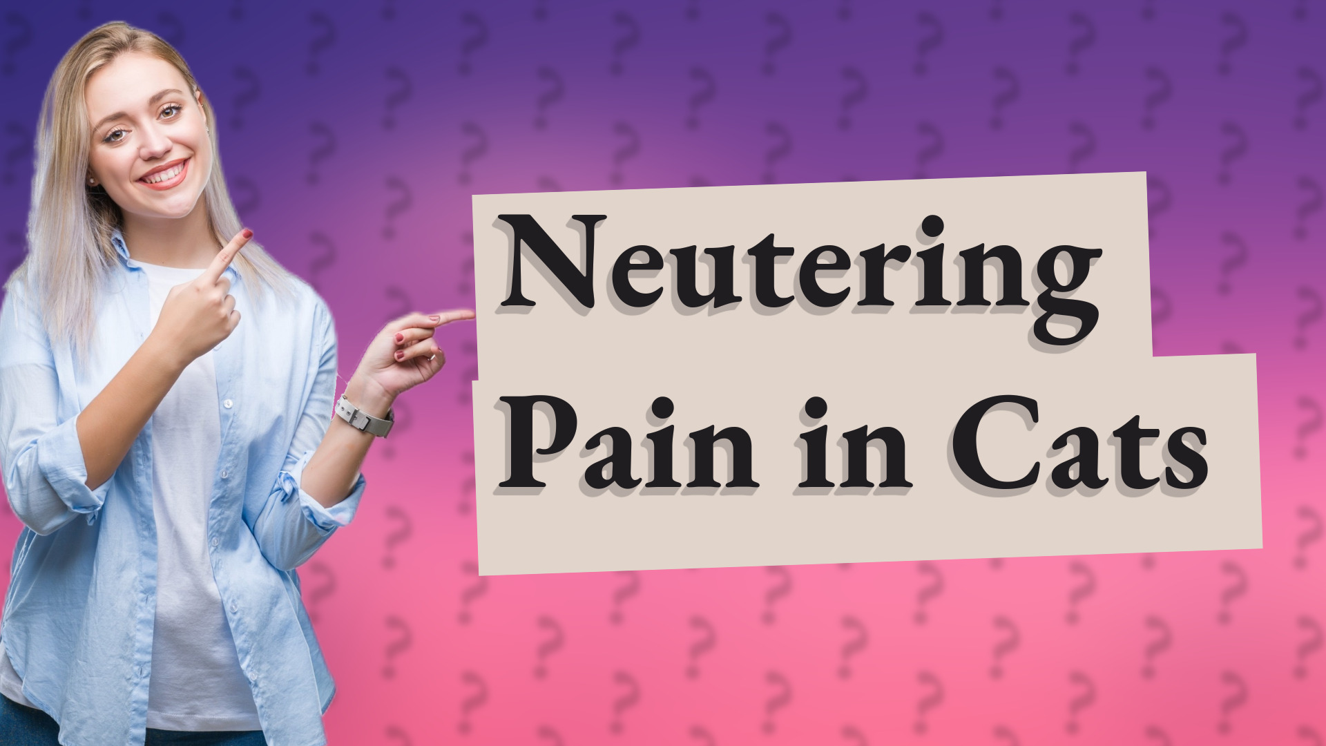 Neutering Pain in Cats