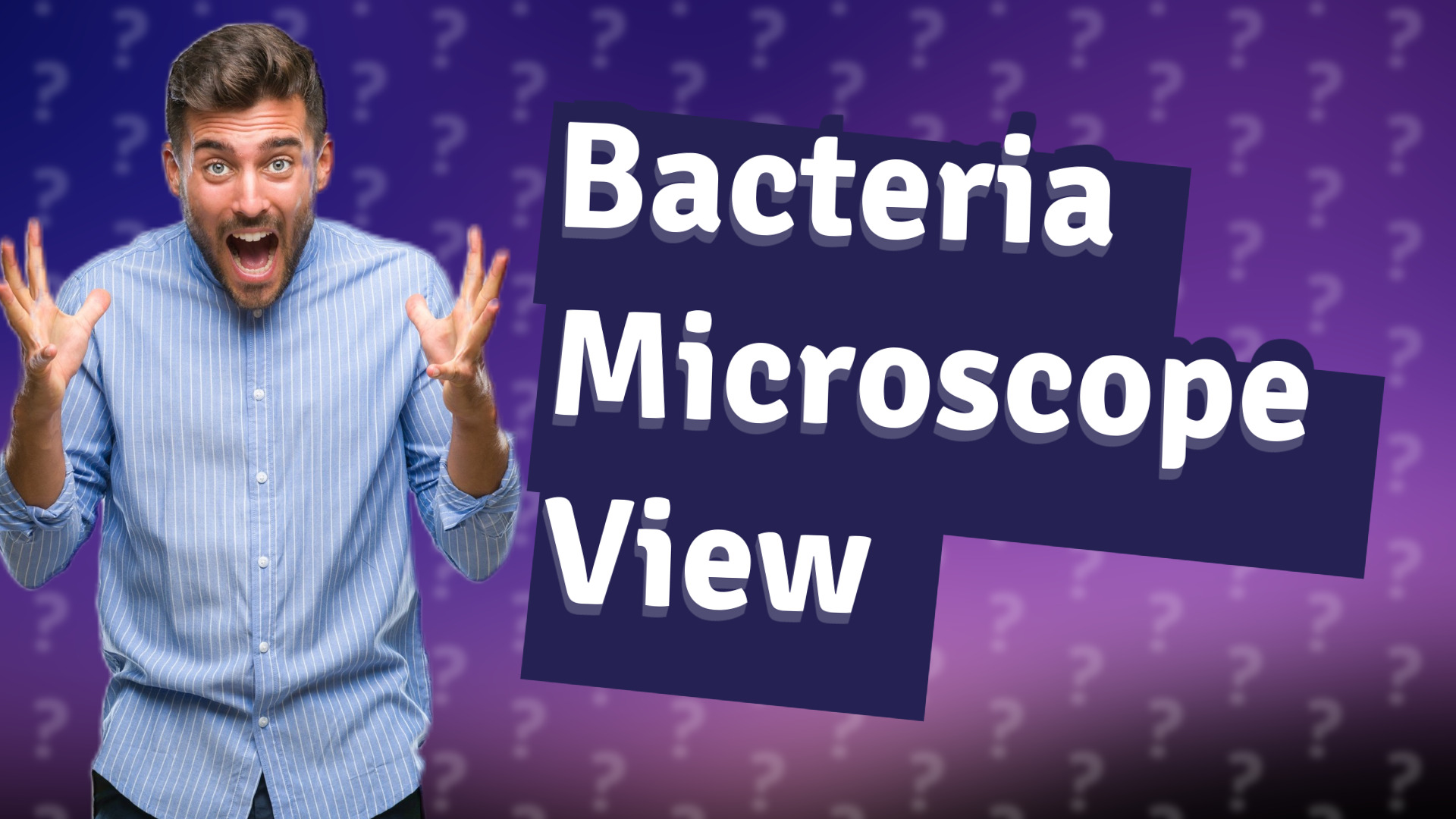 Bacteria Microscope View