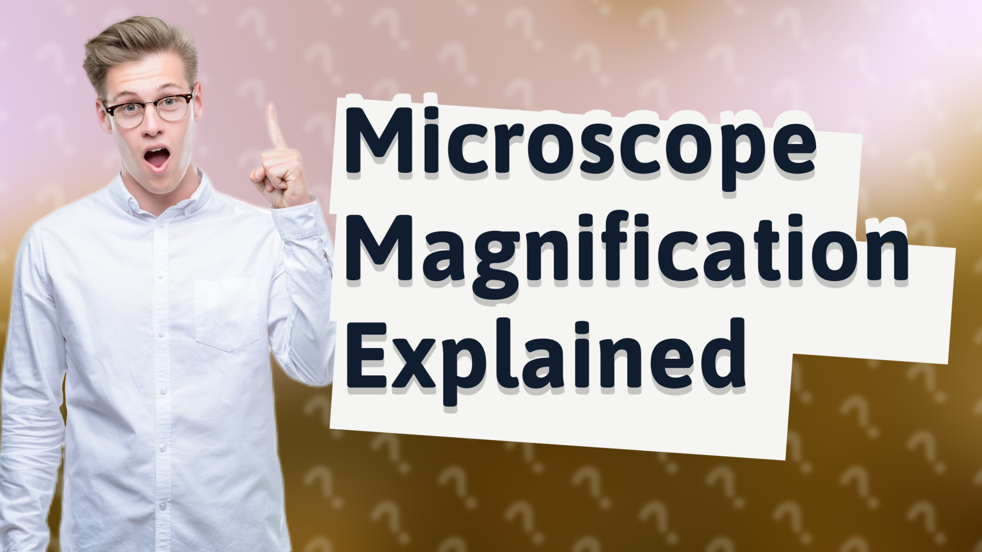 Microscope Magnification Explained