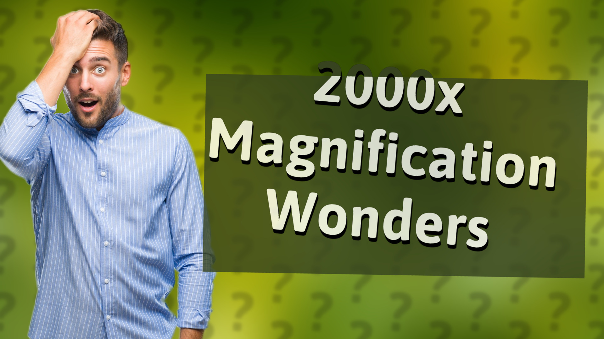 2000x Magnification Wonders
