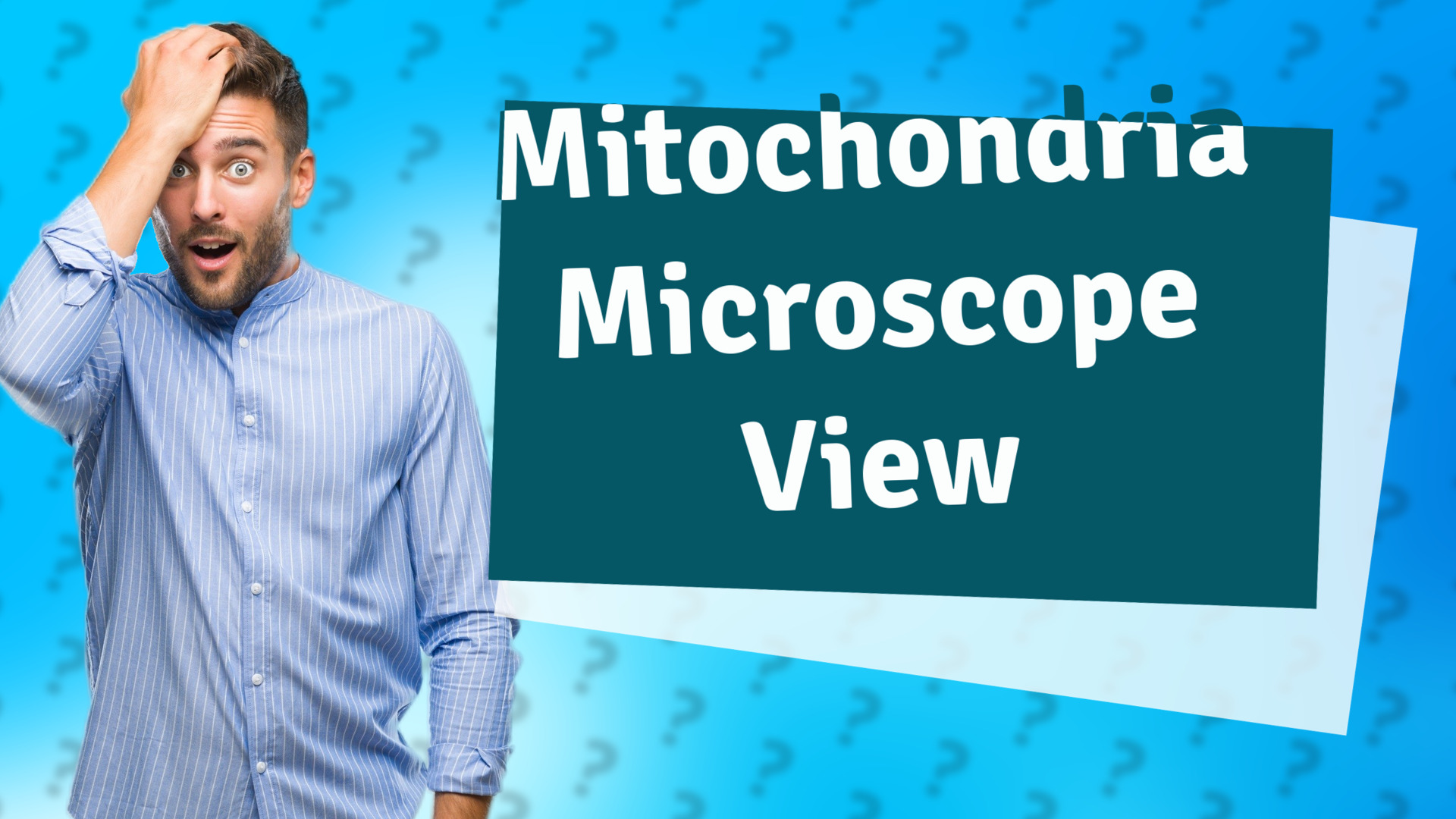 Mitochondria Microscope View