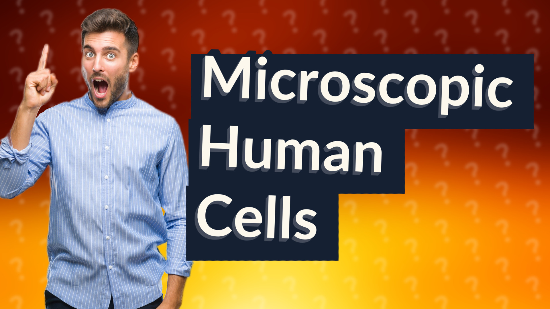 Microscopic Human Cells