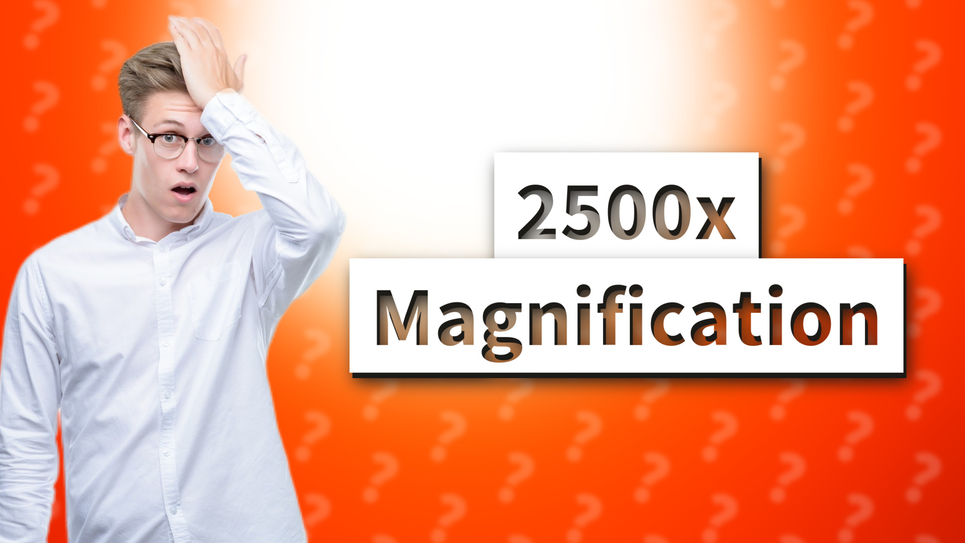 2500x Magnification
