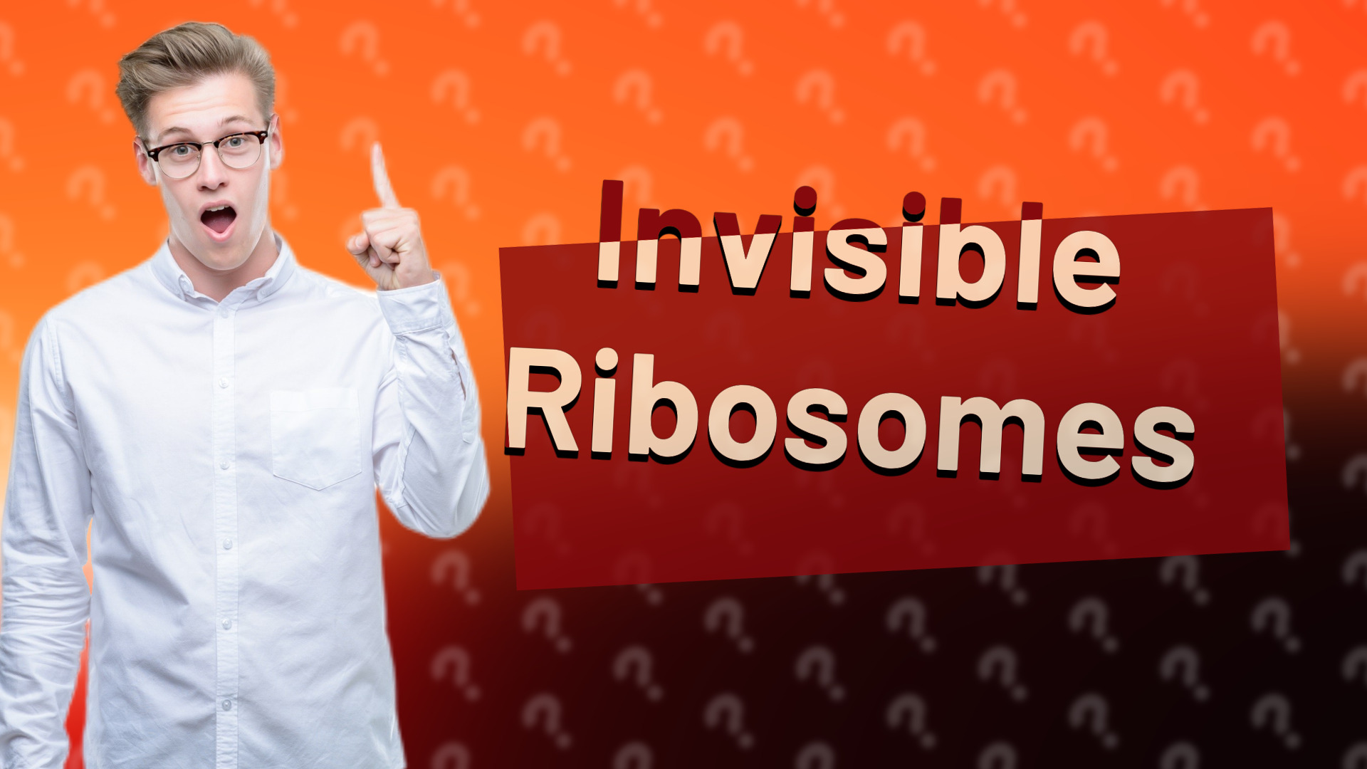Invisible Ribosomes