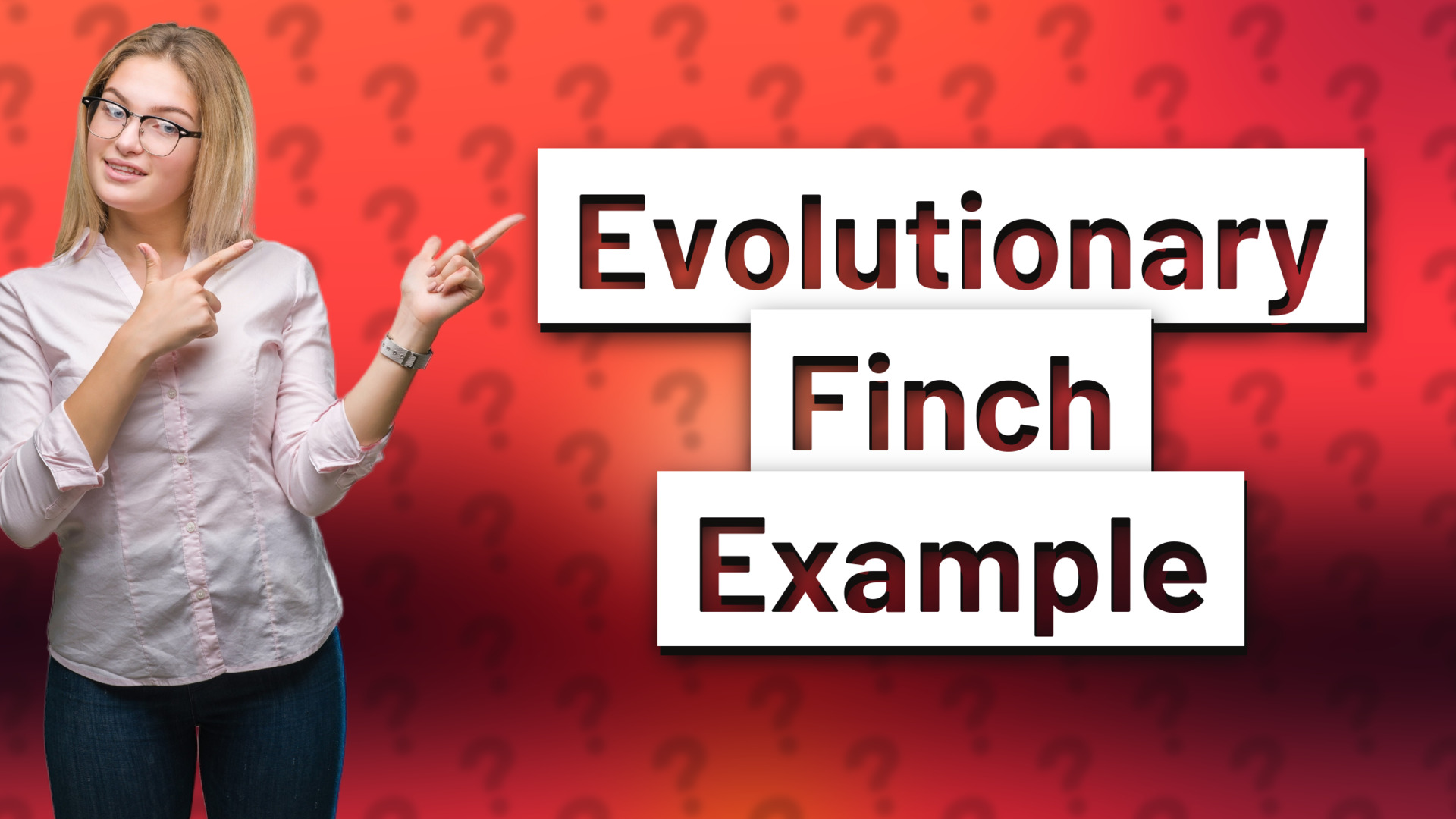 Evolutionary Finch Example