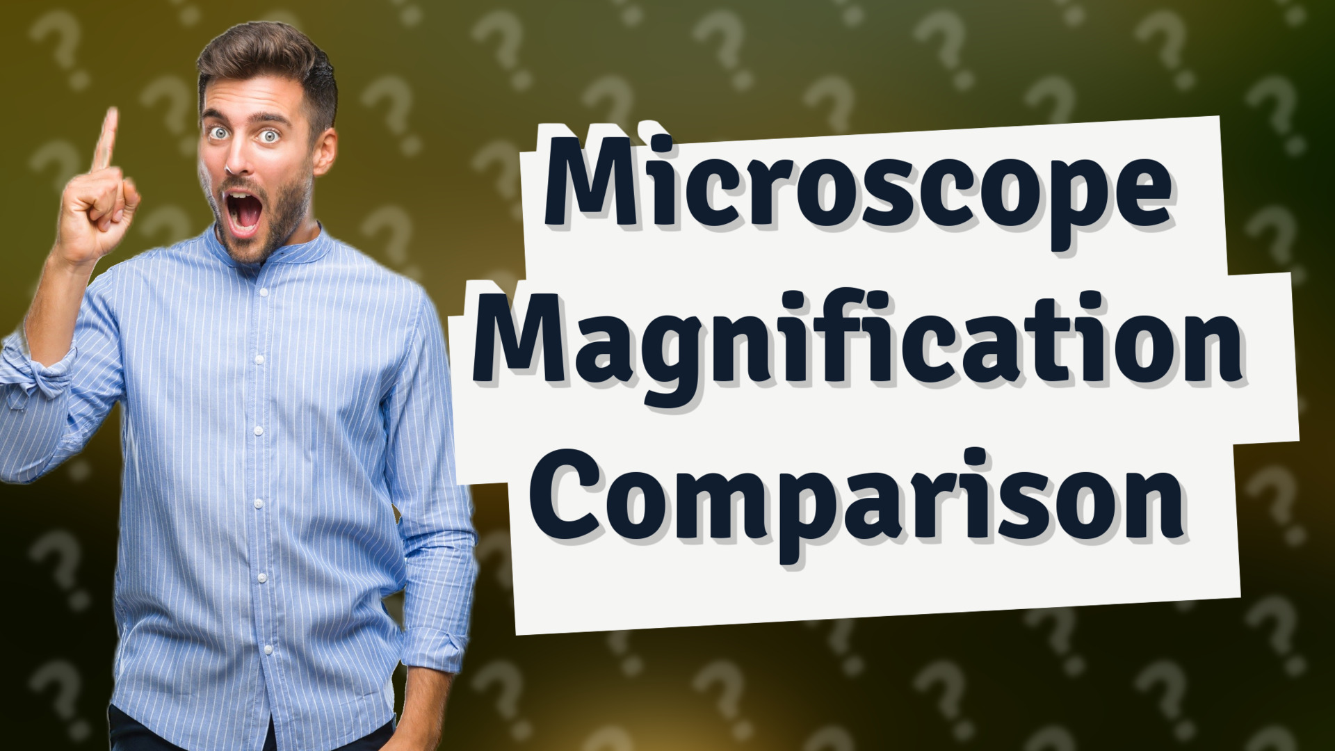 Microscope Magnification Comparison