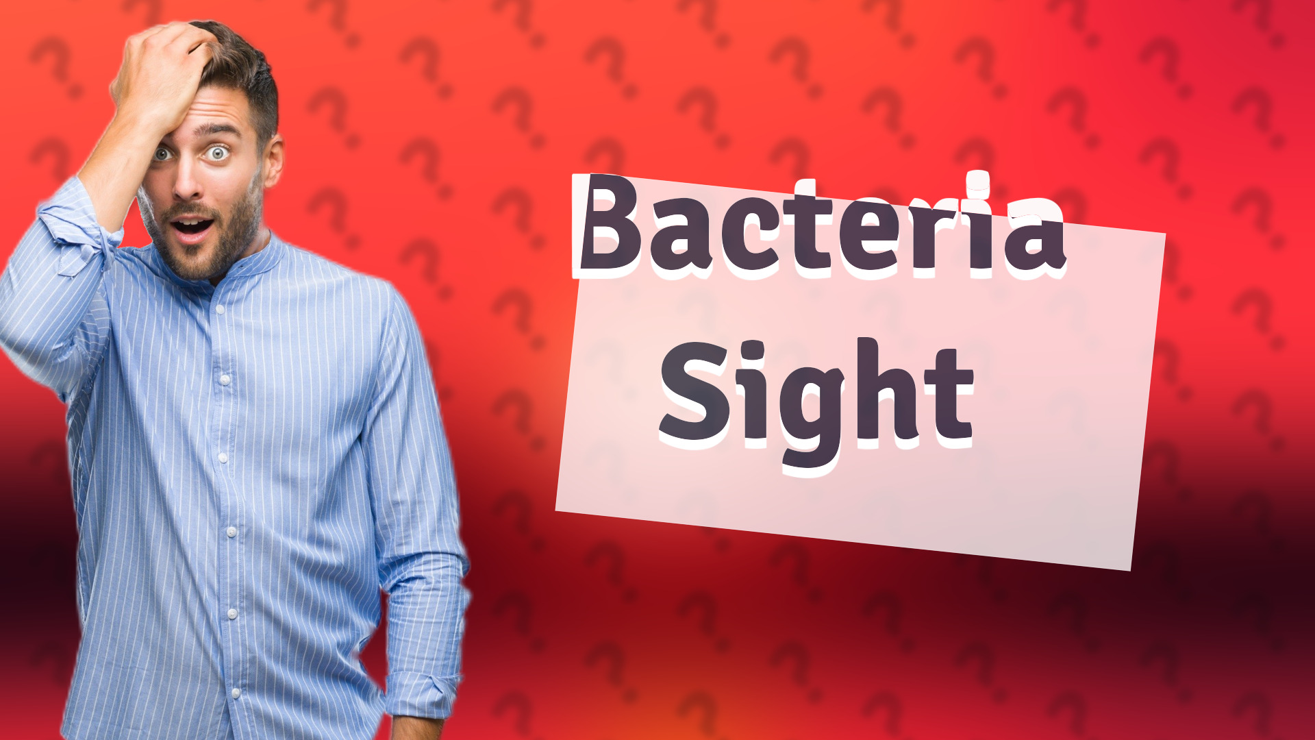 Bacteria Sight